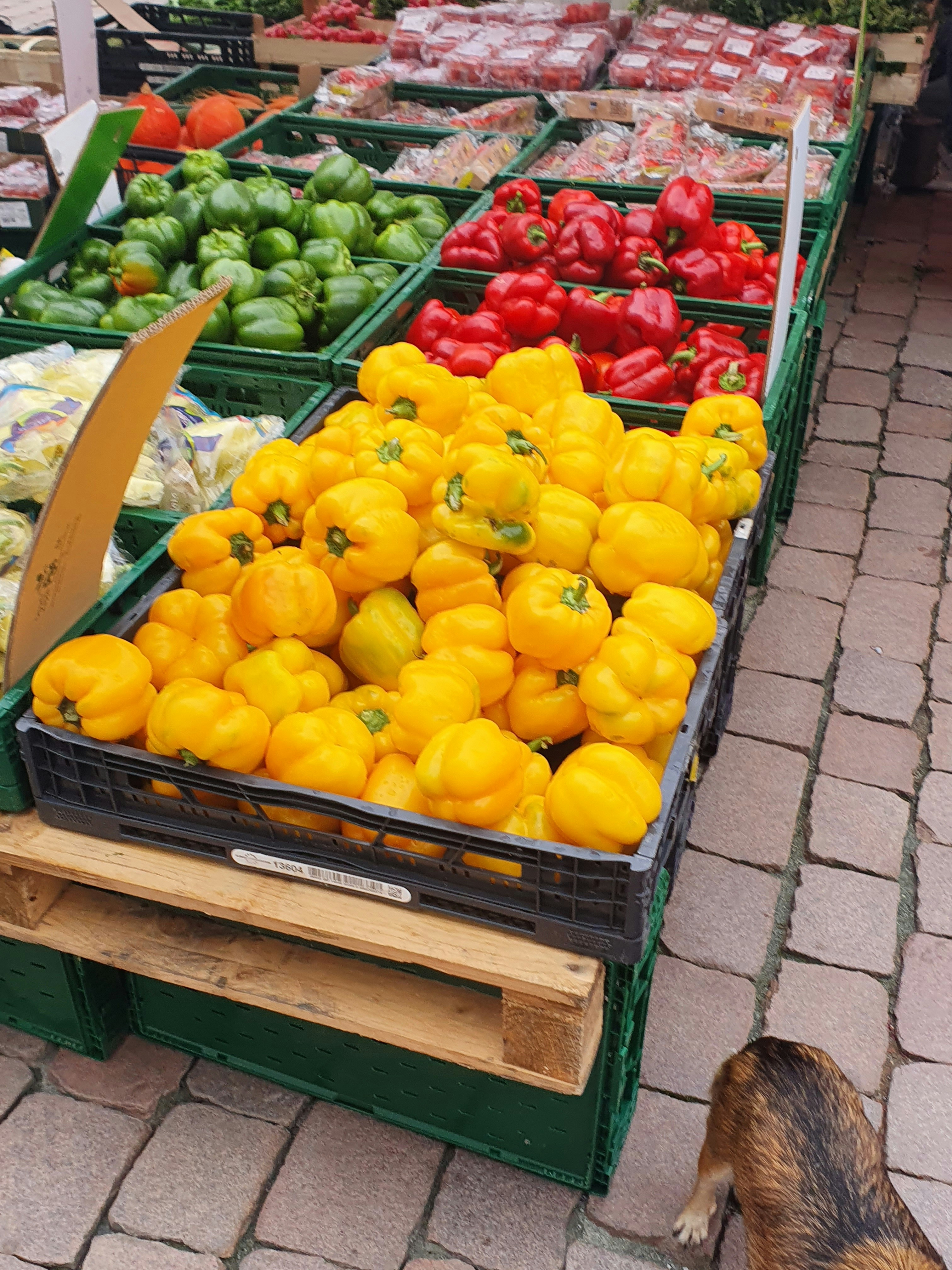 Photo by yuliyanechay