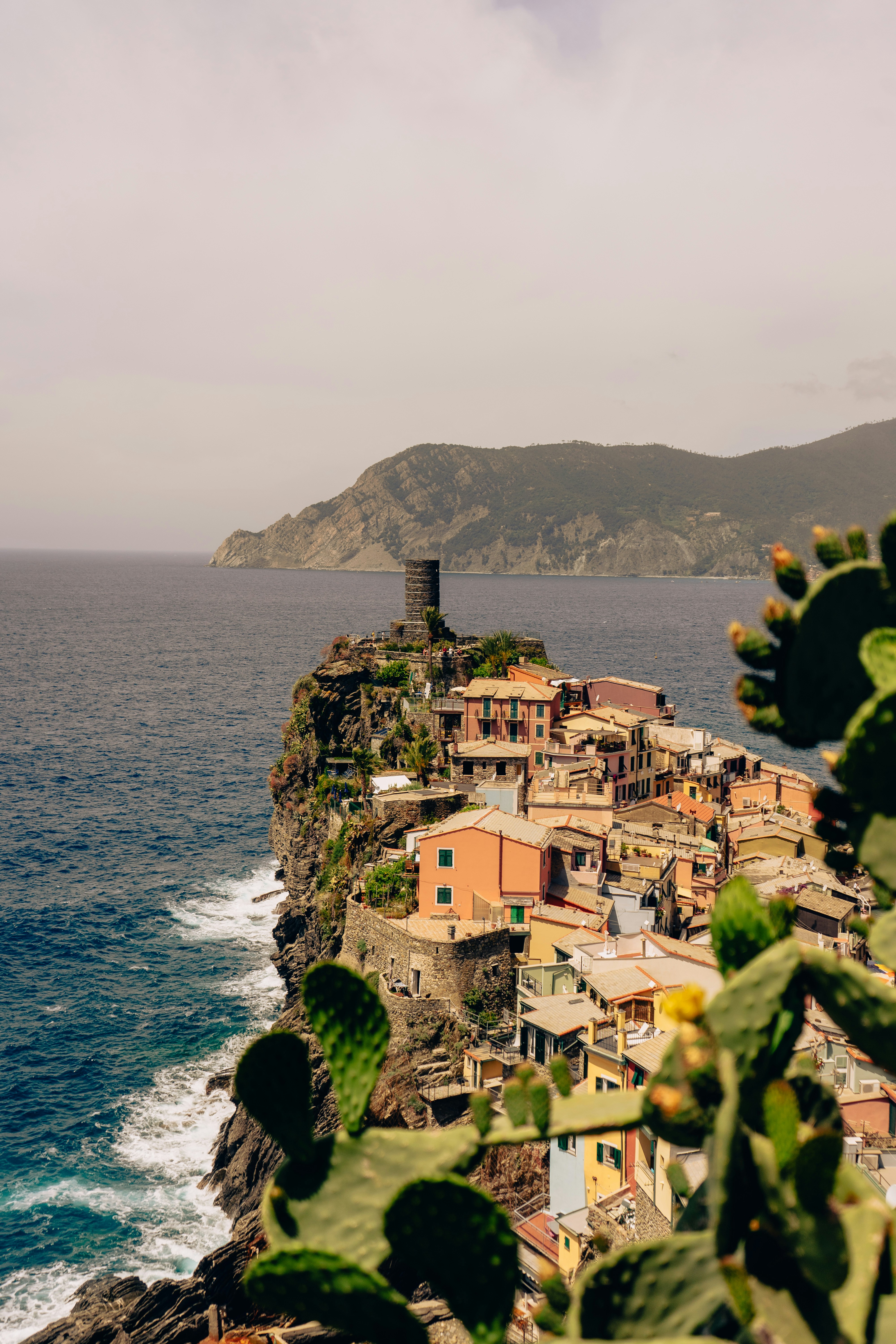 Photo by virussinside