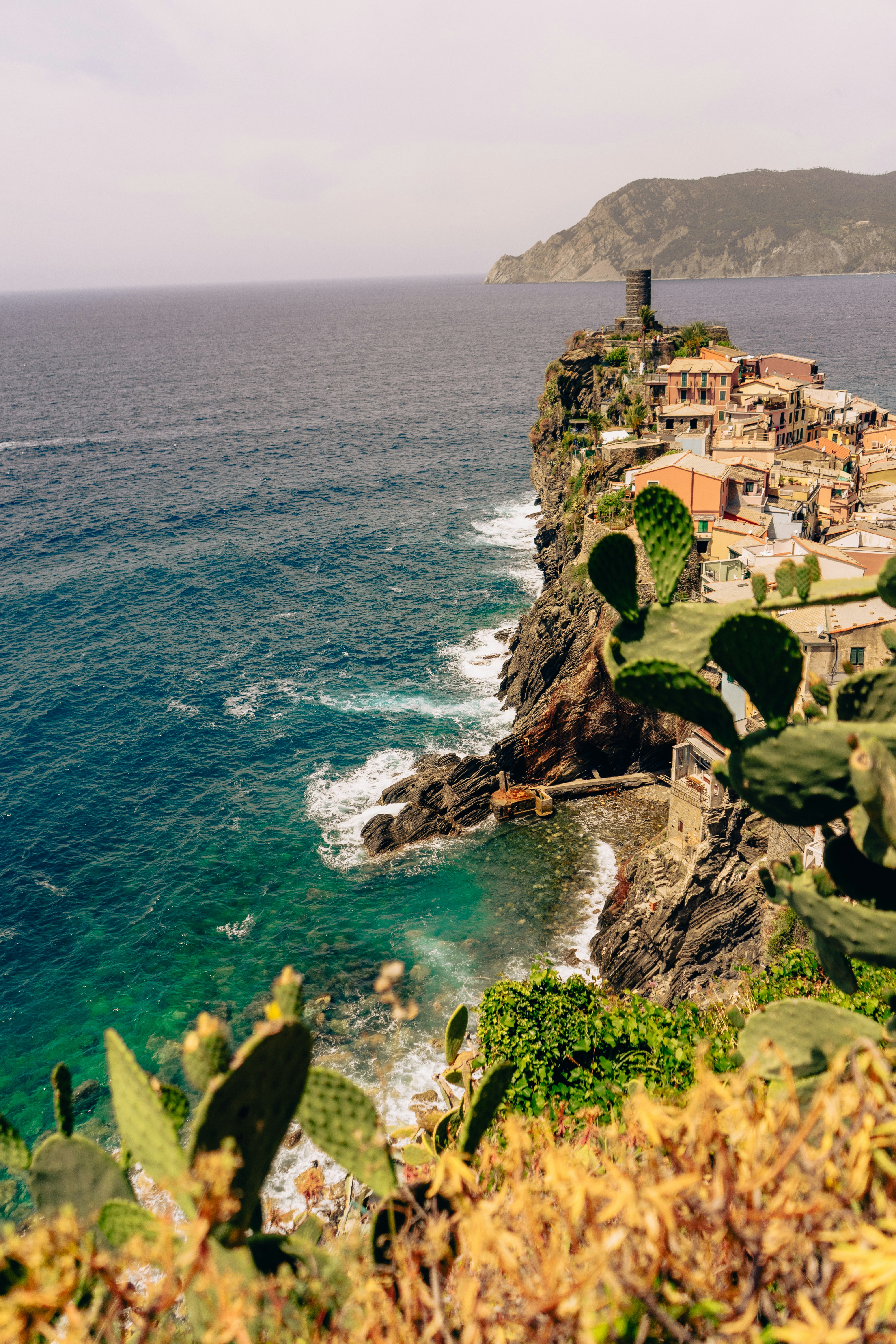 Photo by virussinside