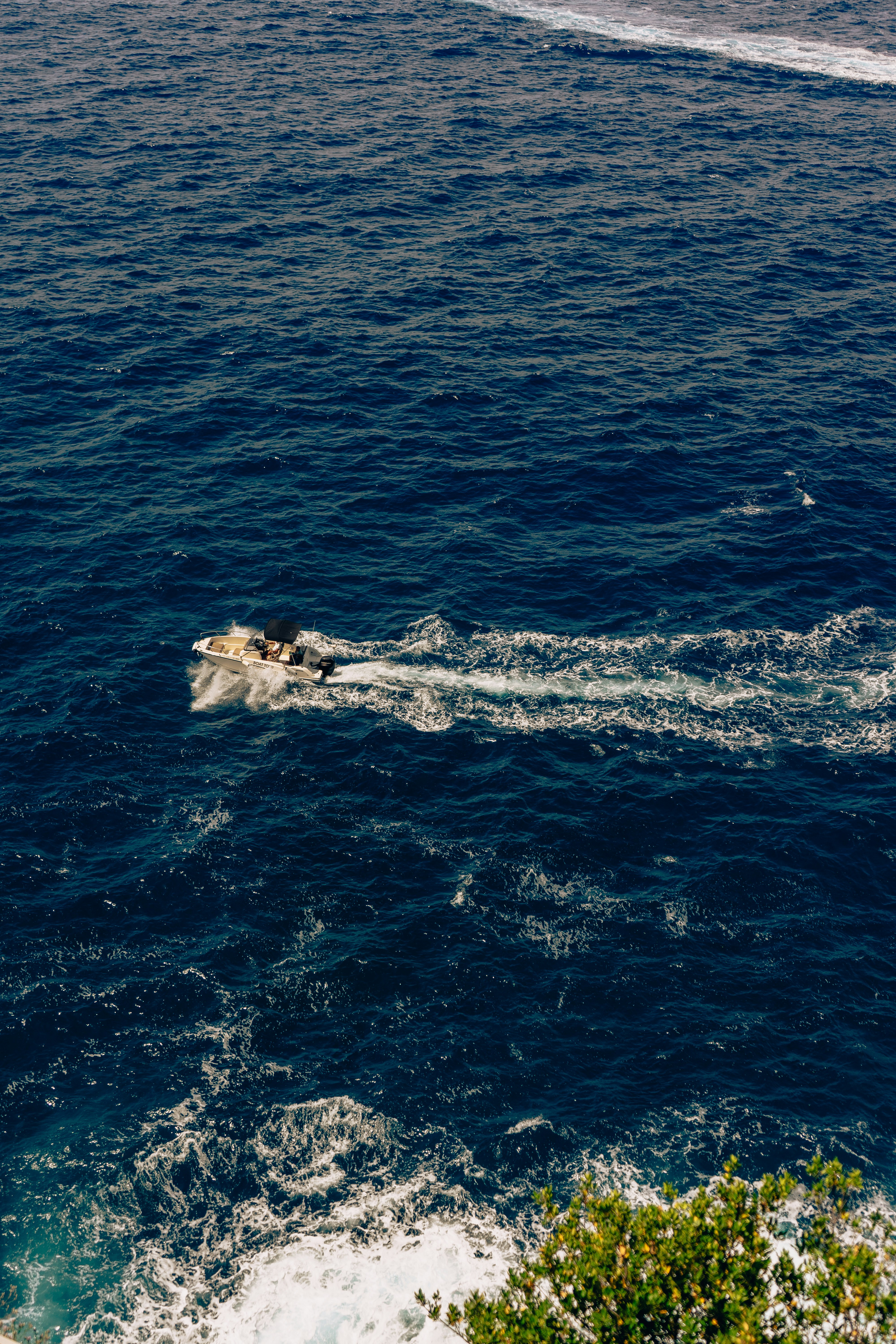 Photo by virussinside