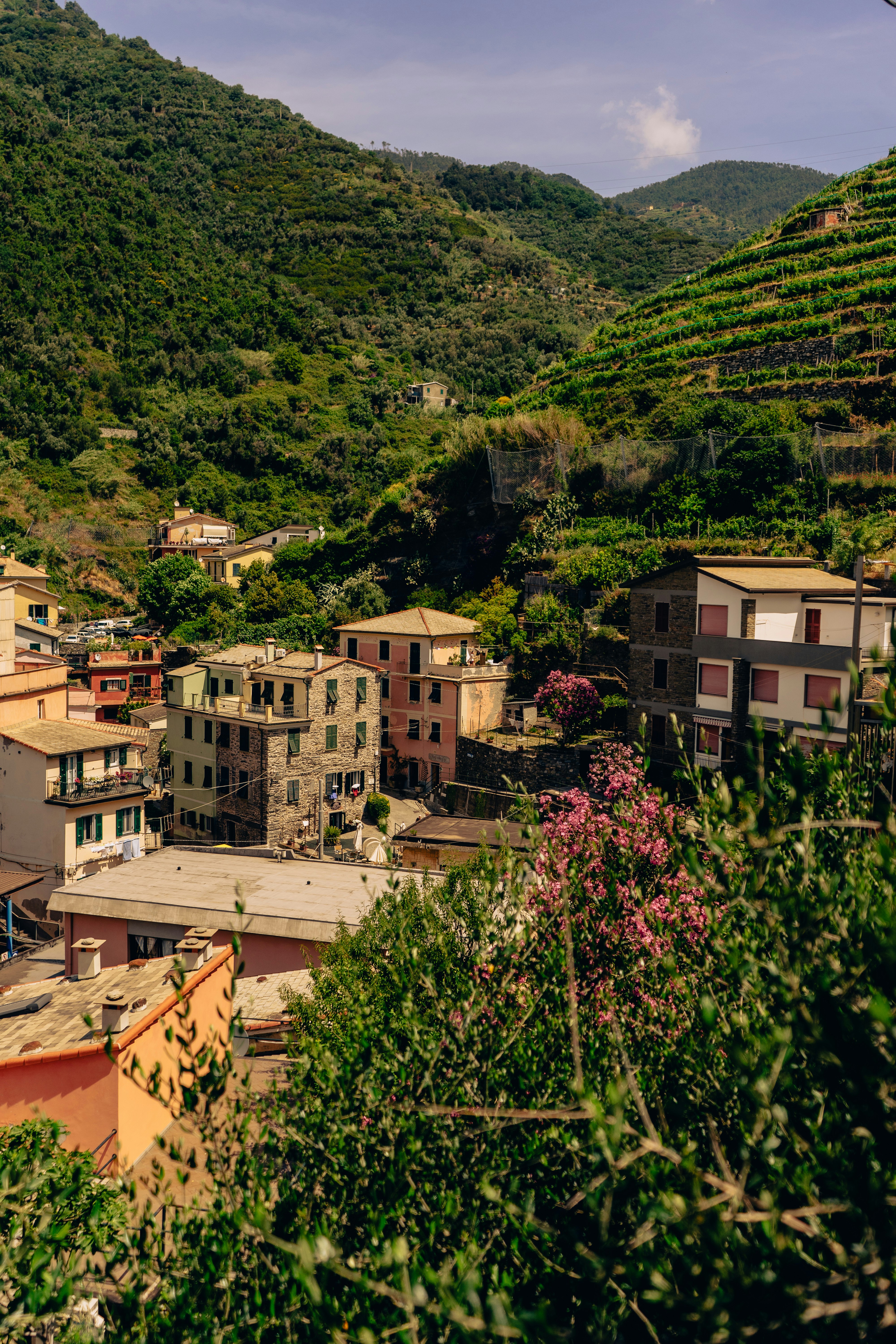 Photo by virussinside