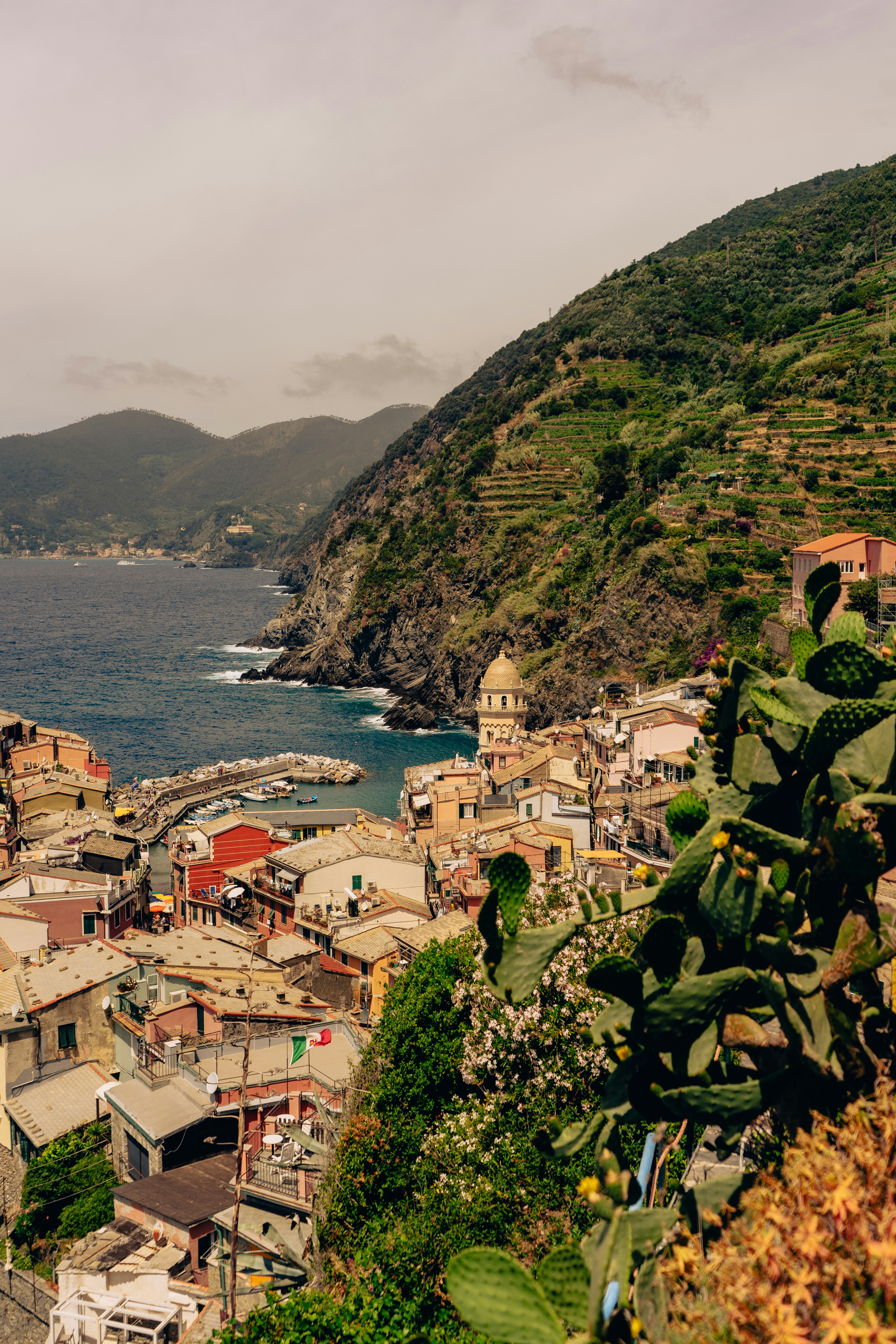 Photo by virussinside