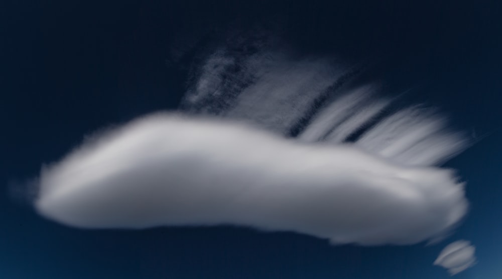 a white feather on a black background