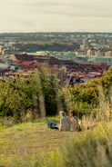 Couples enjoying a sunset picnic at a city park, surrounded by greenery.