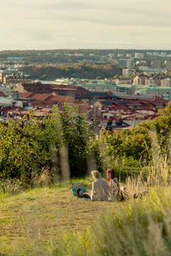 Couples enjoying a sunset picnic at a city park, surrounded by greenery.