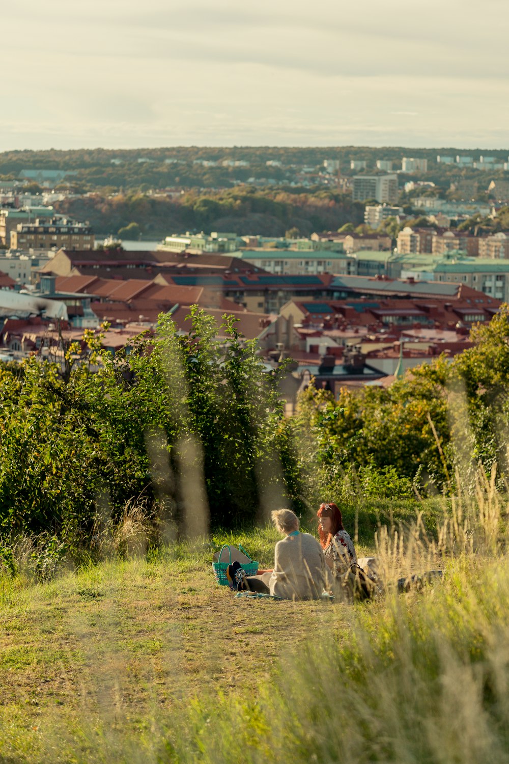 a couple sitting on a hill overlooking a city