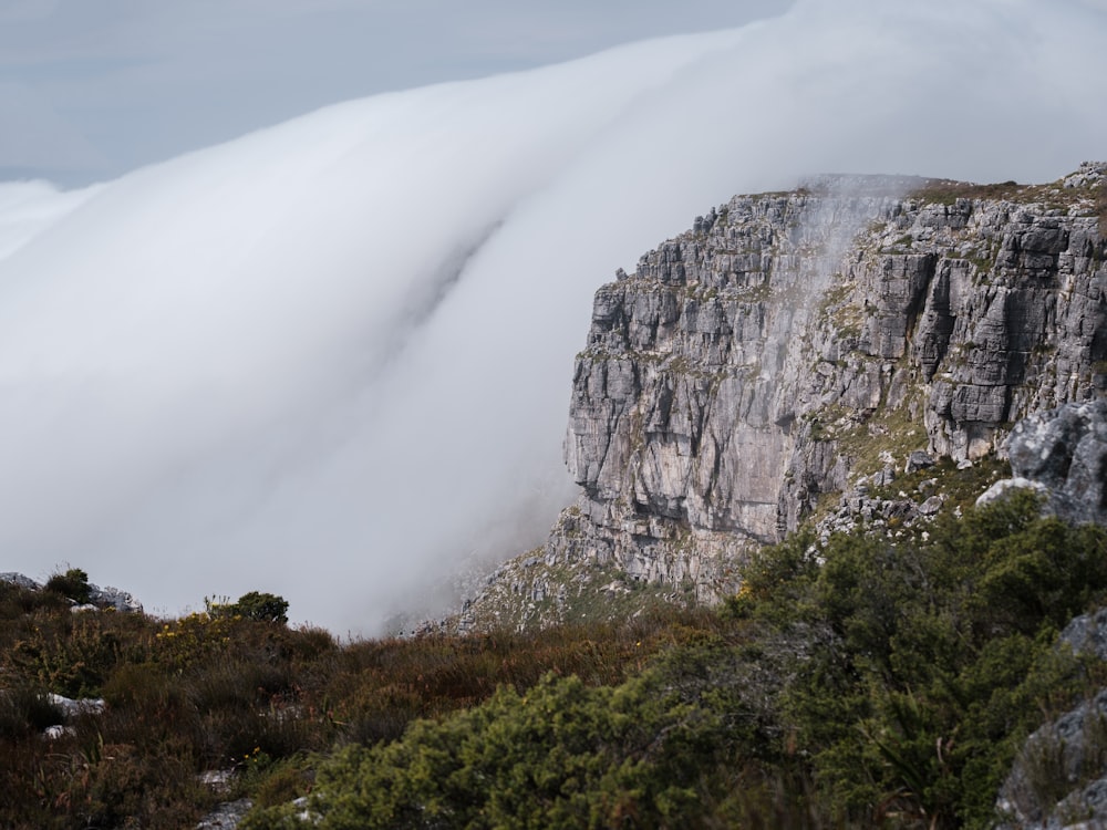 a mountain with trees below