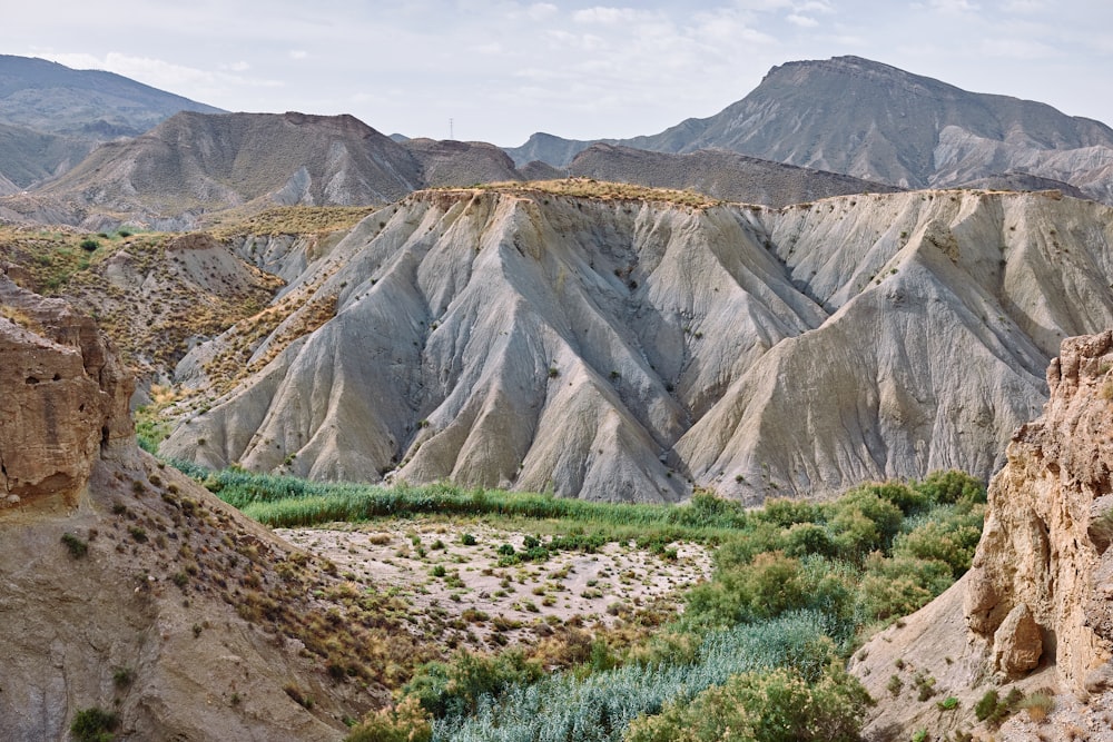 Una zona rocosa y cubierta de hierba