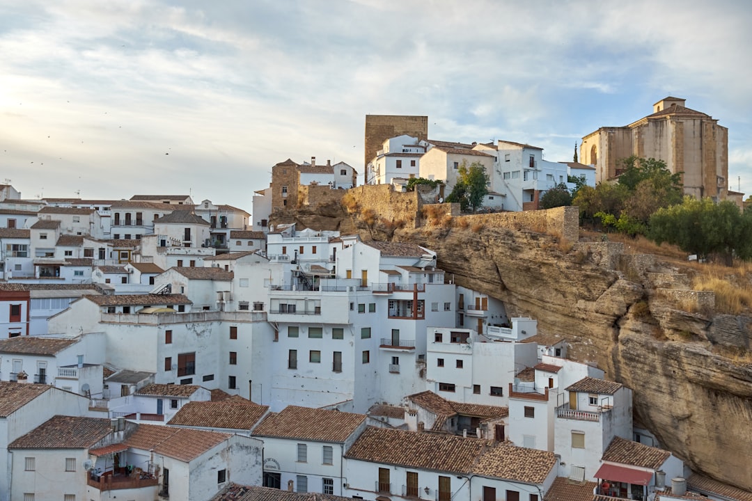 a city with many buildings,