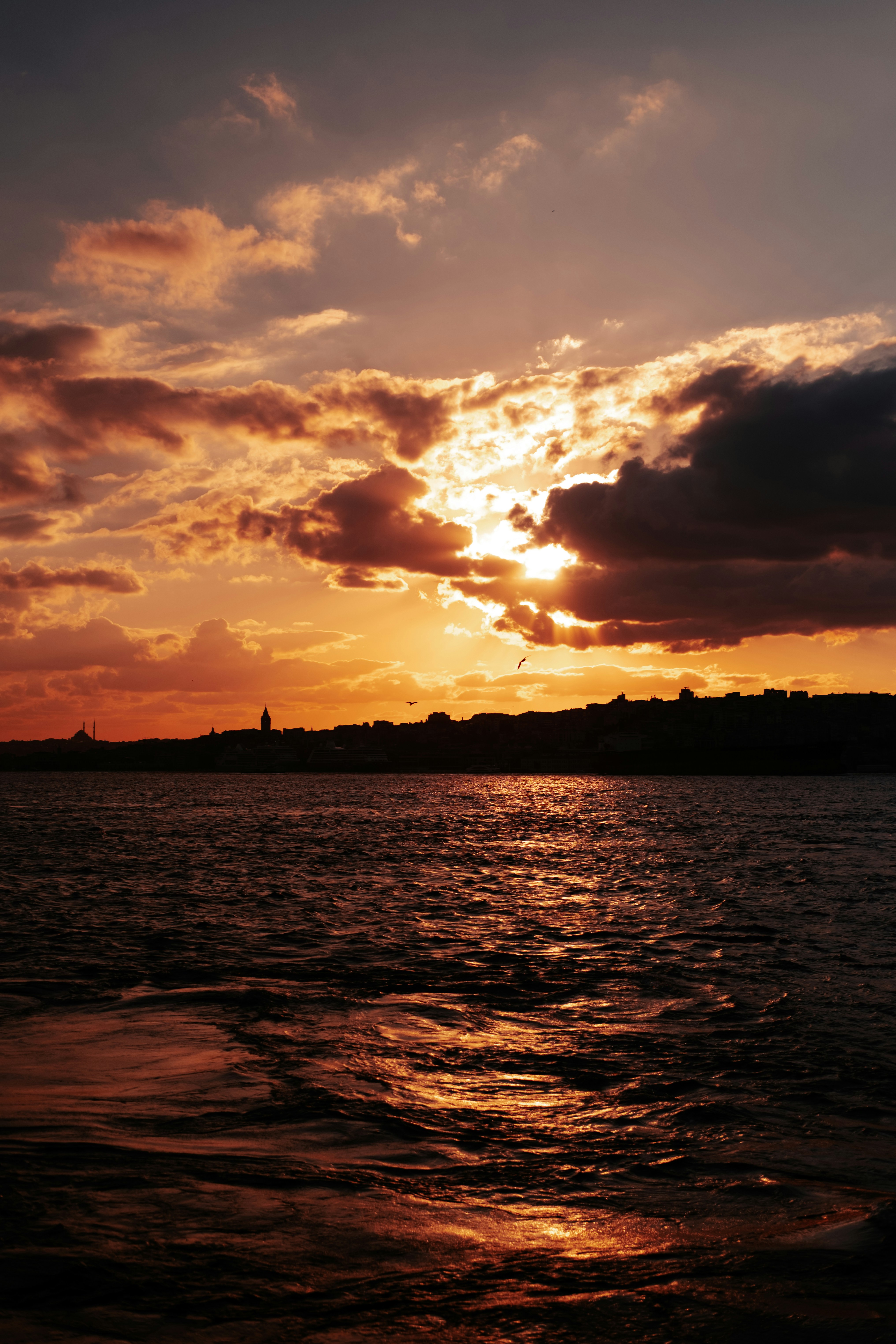 Photo by mutecevvil