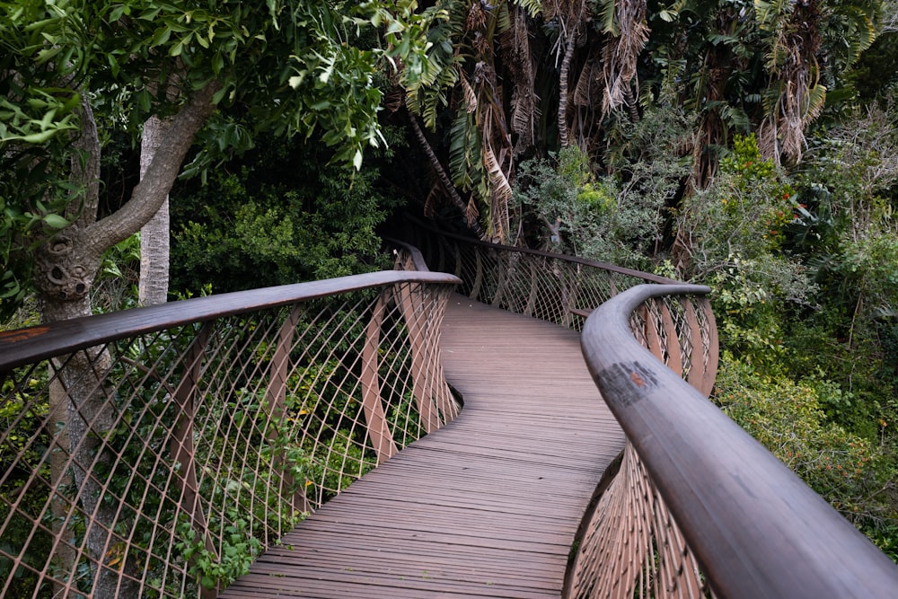 a wooden bridge in the woods