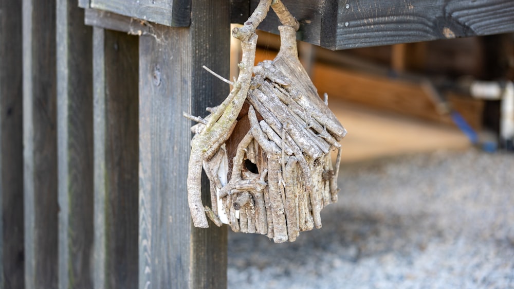 a moth on a fence