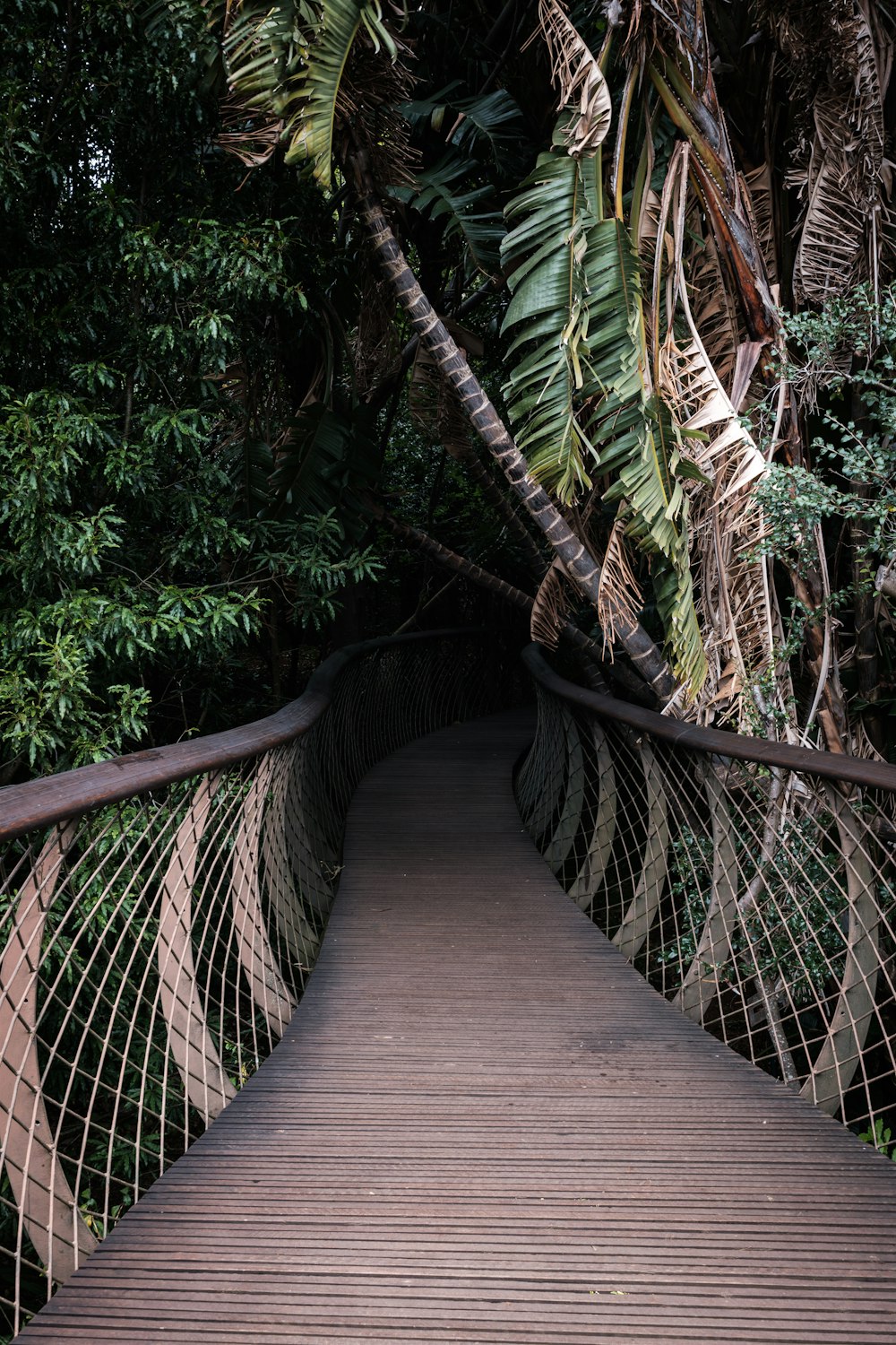 un pont en bois avec des arbres de chaque côté