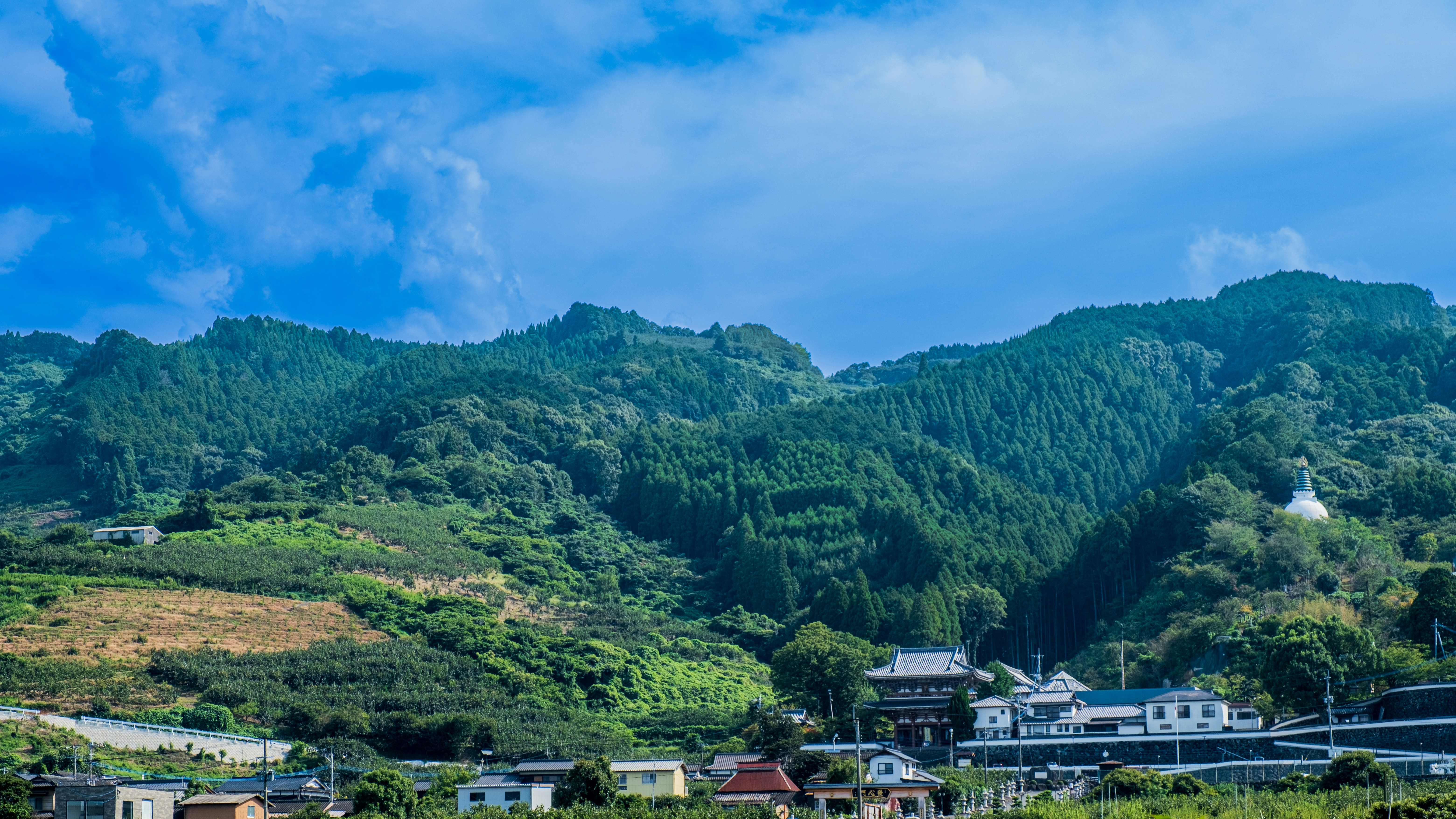 a landscape with trees and buildings, 