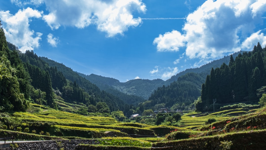 a valley with trees and mountains in the background,