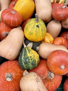 a pile of colorful pumpkins