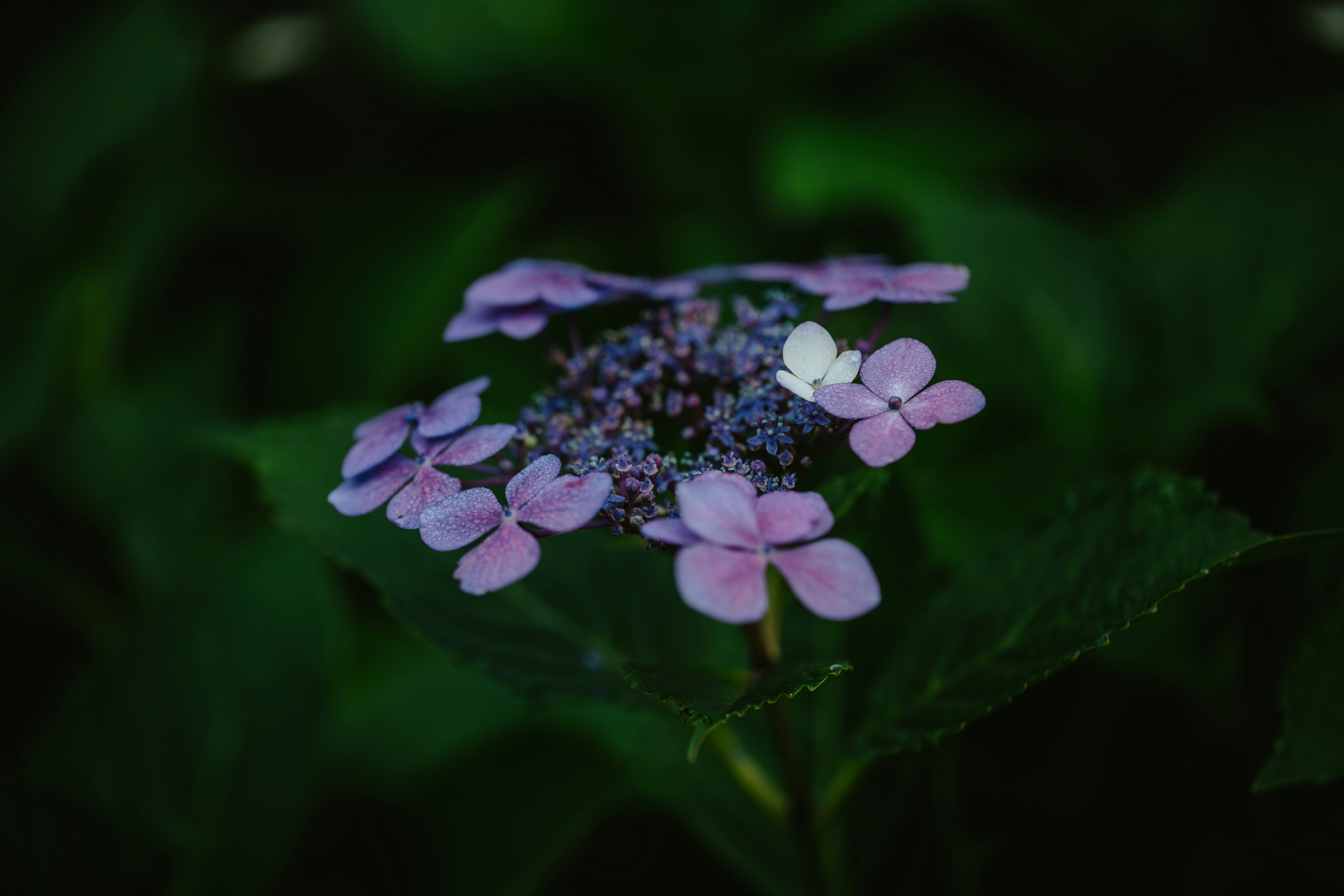 Photo by anniespratt