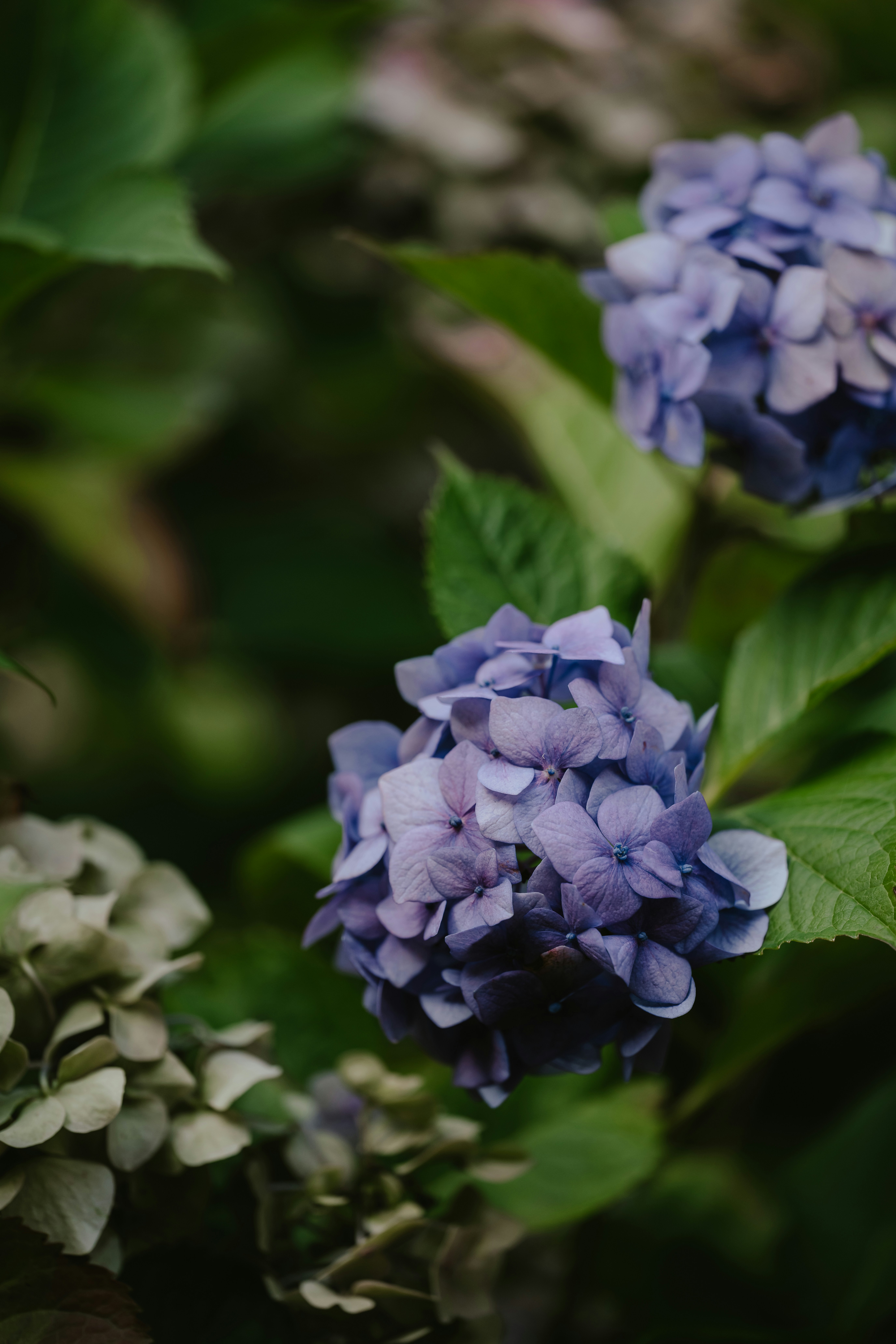 Photo by anniespratt