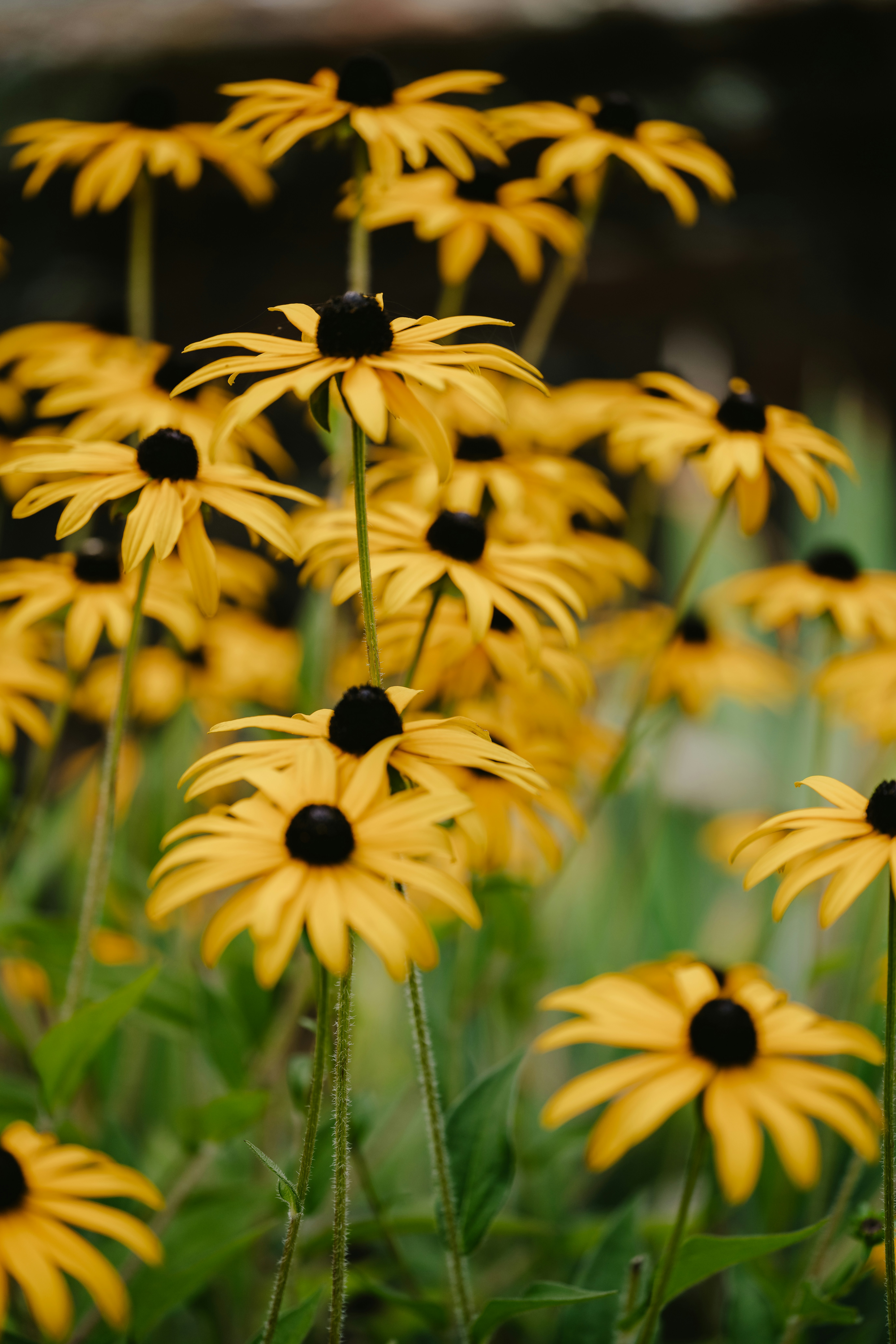 Photo by anniespratt