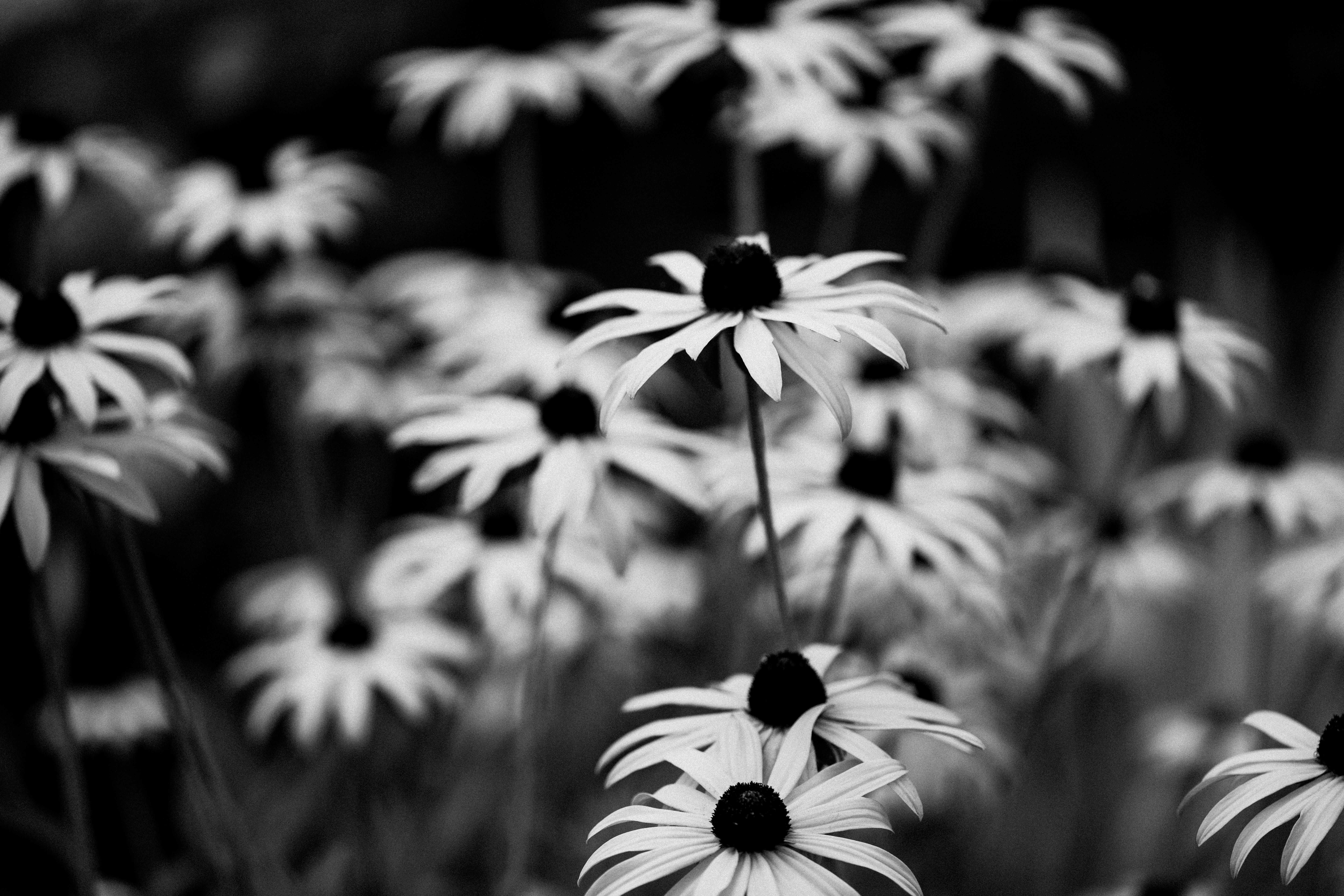 Photo by anniespratt