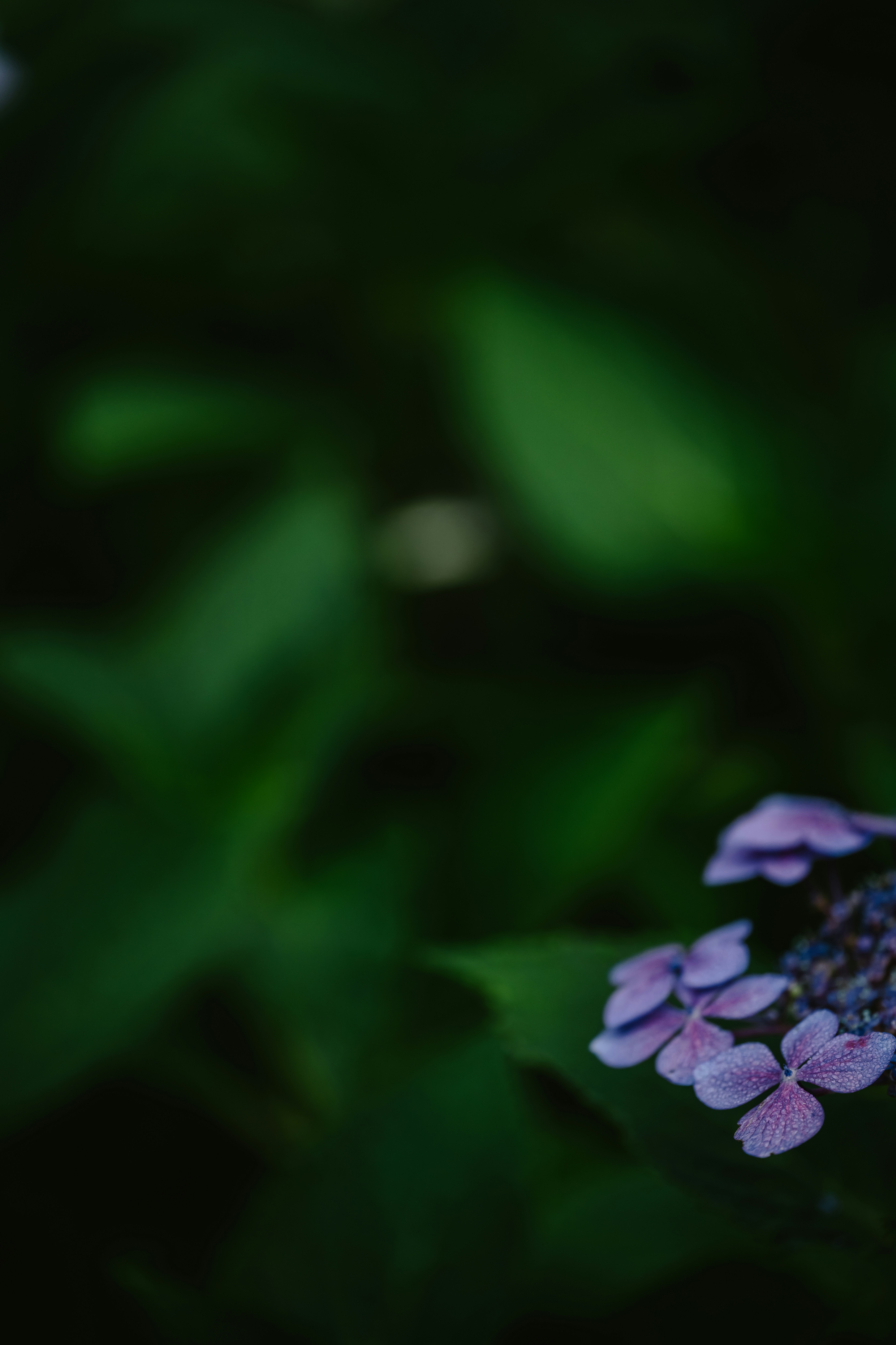 Photo by anniespratt