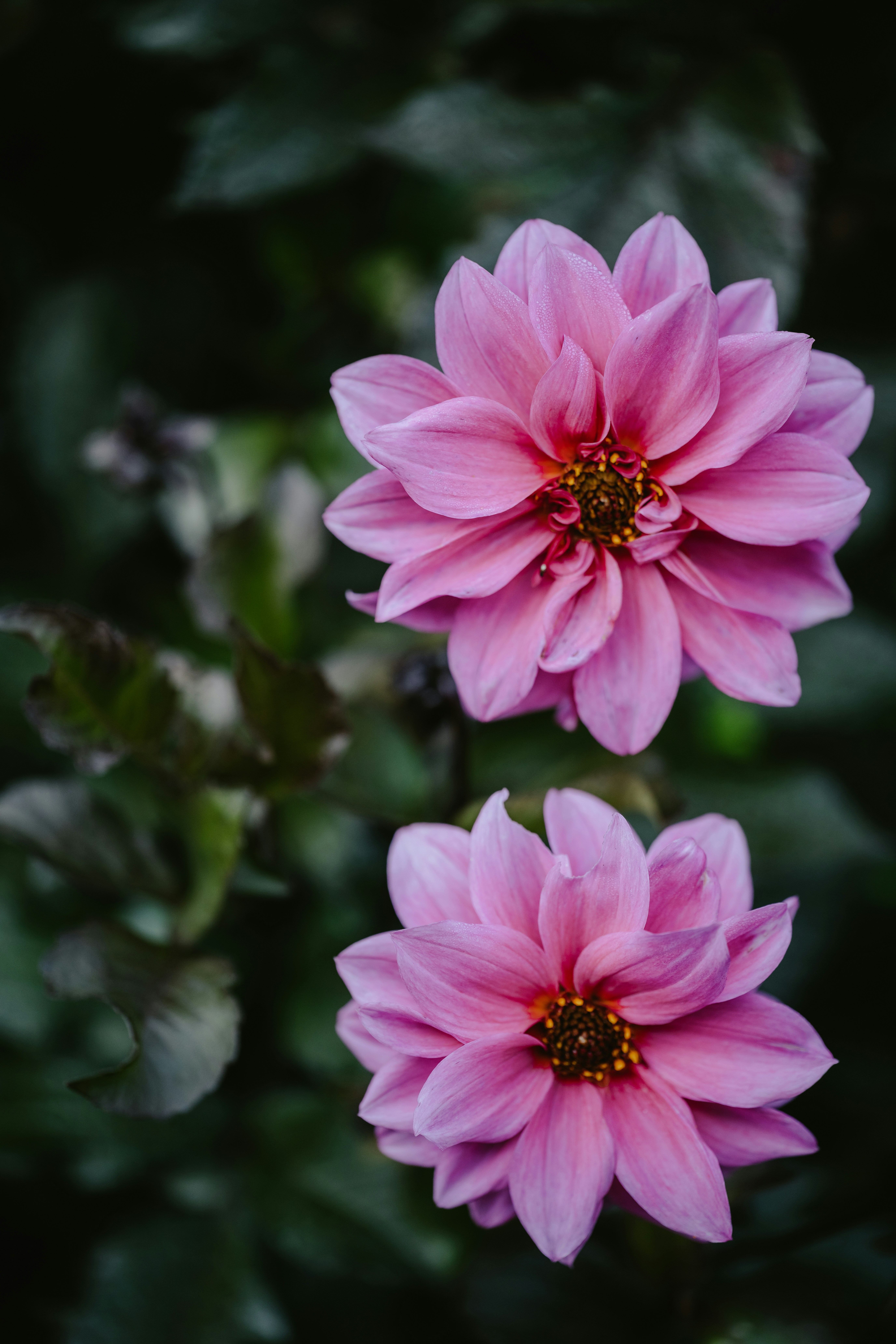 Photo by anniespratt