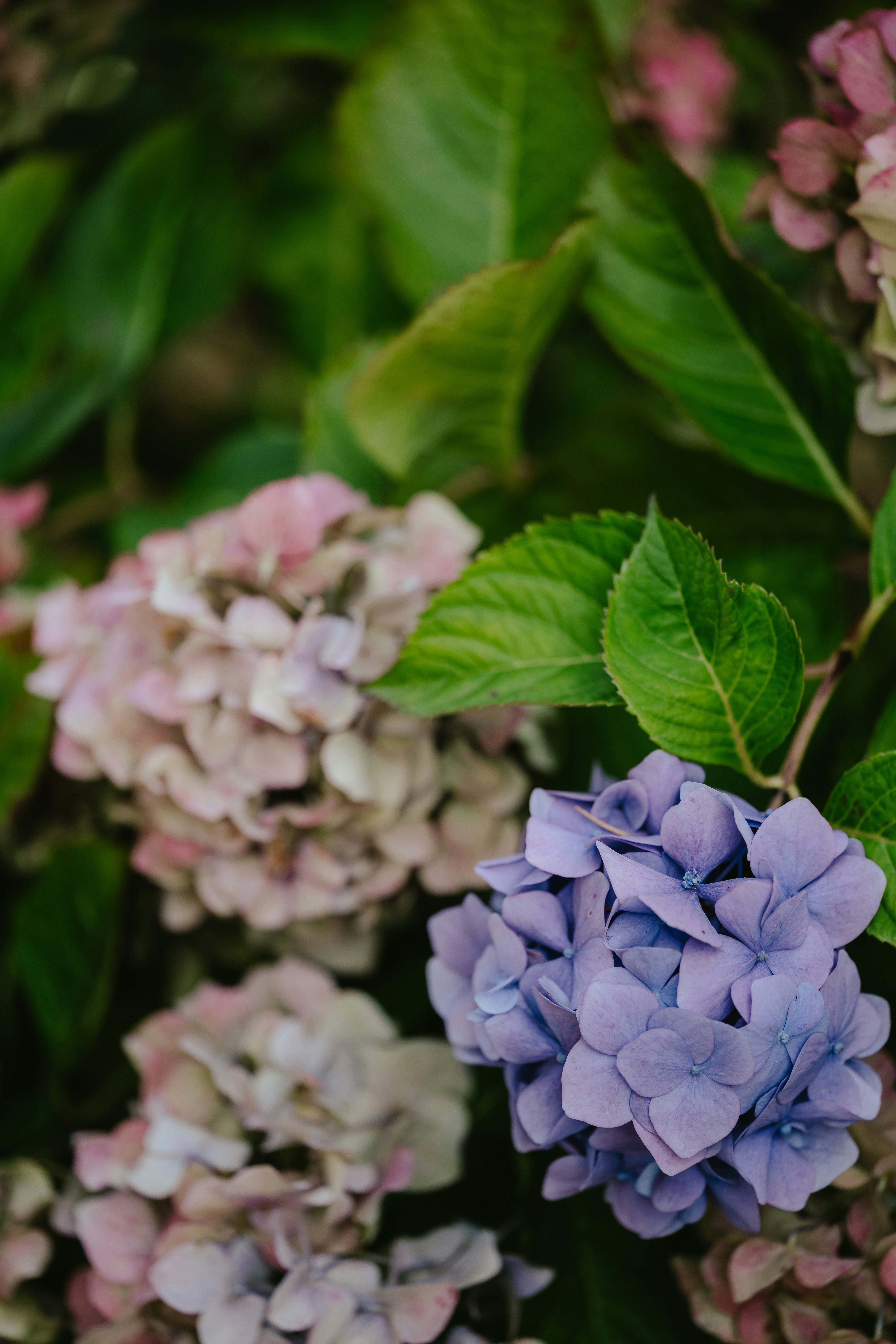 Photo by anniespratt