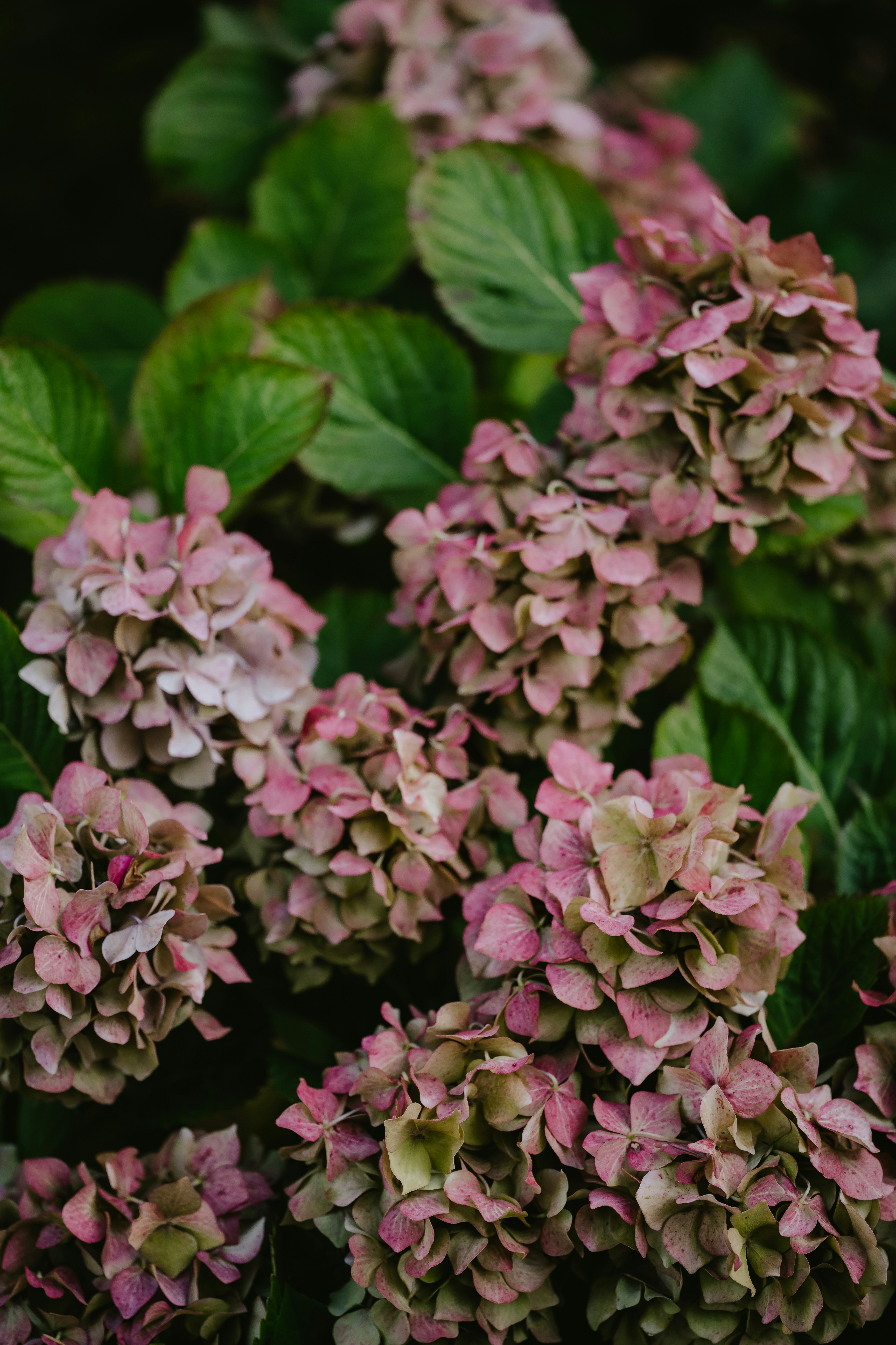 Photo by anniespratt