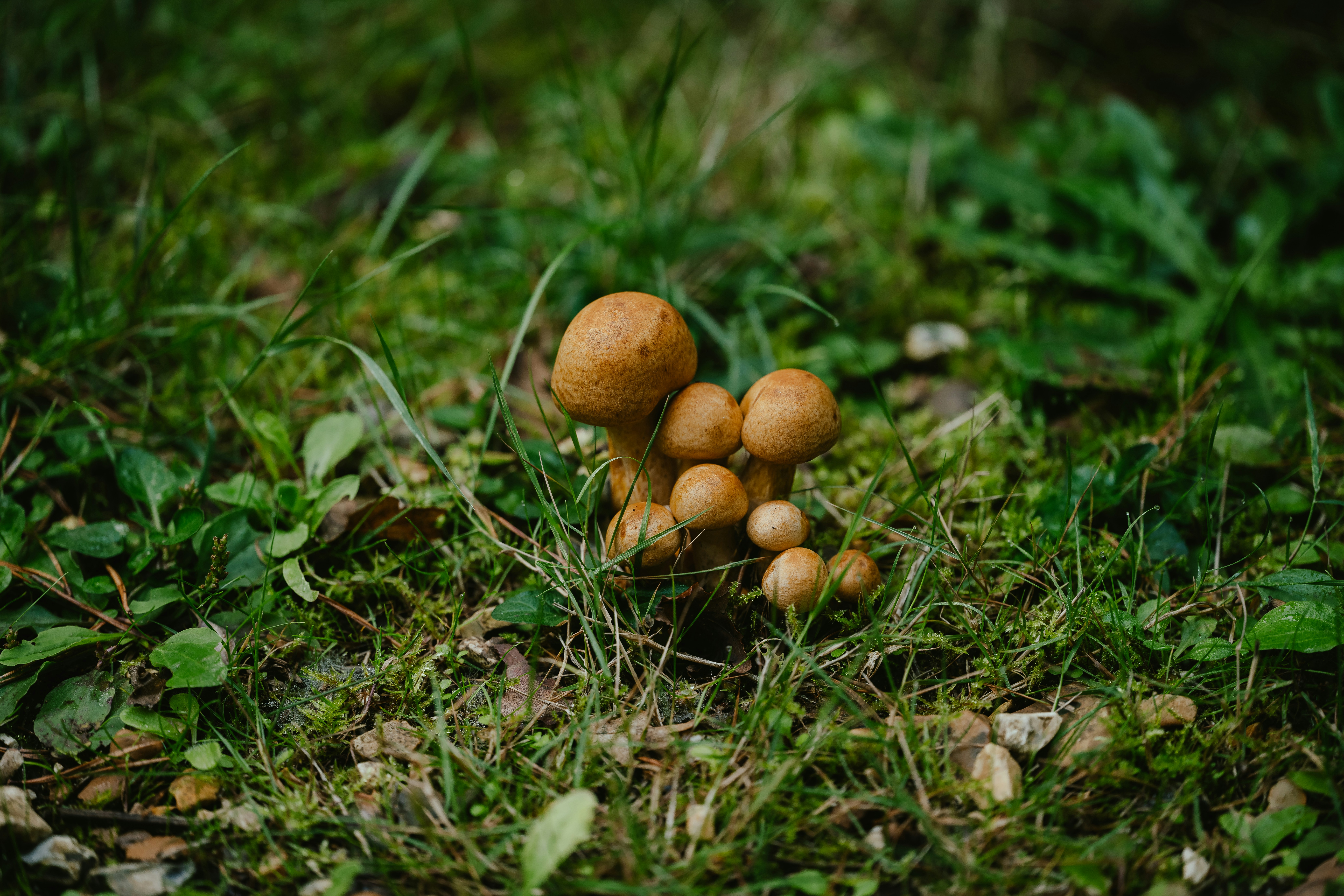 Photo by anniespratt
