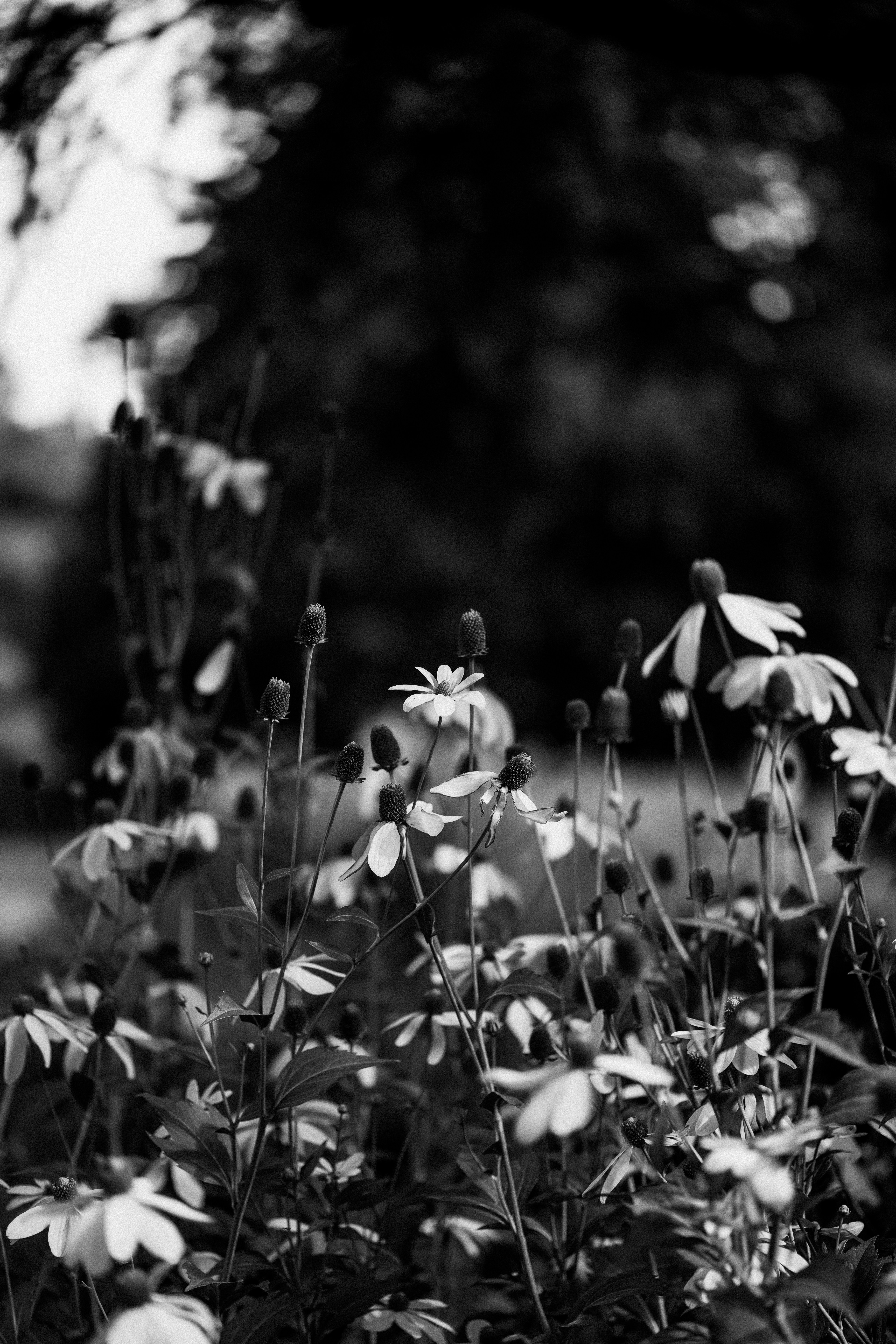 Photo by anniespratt