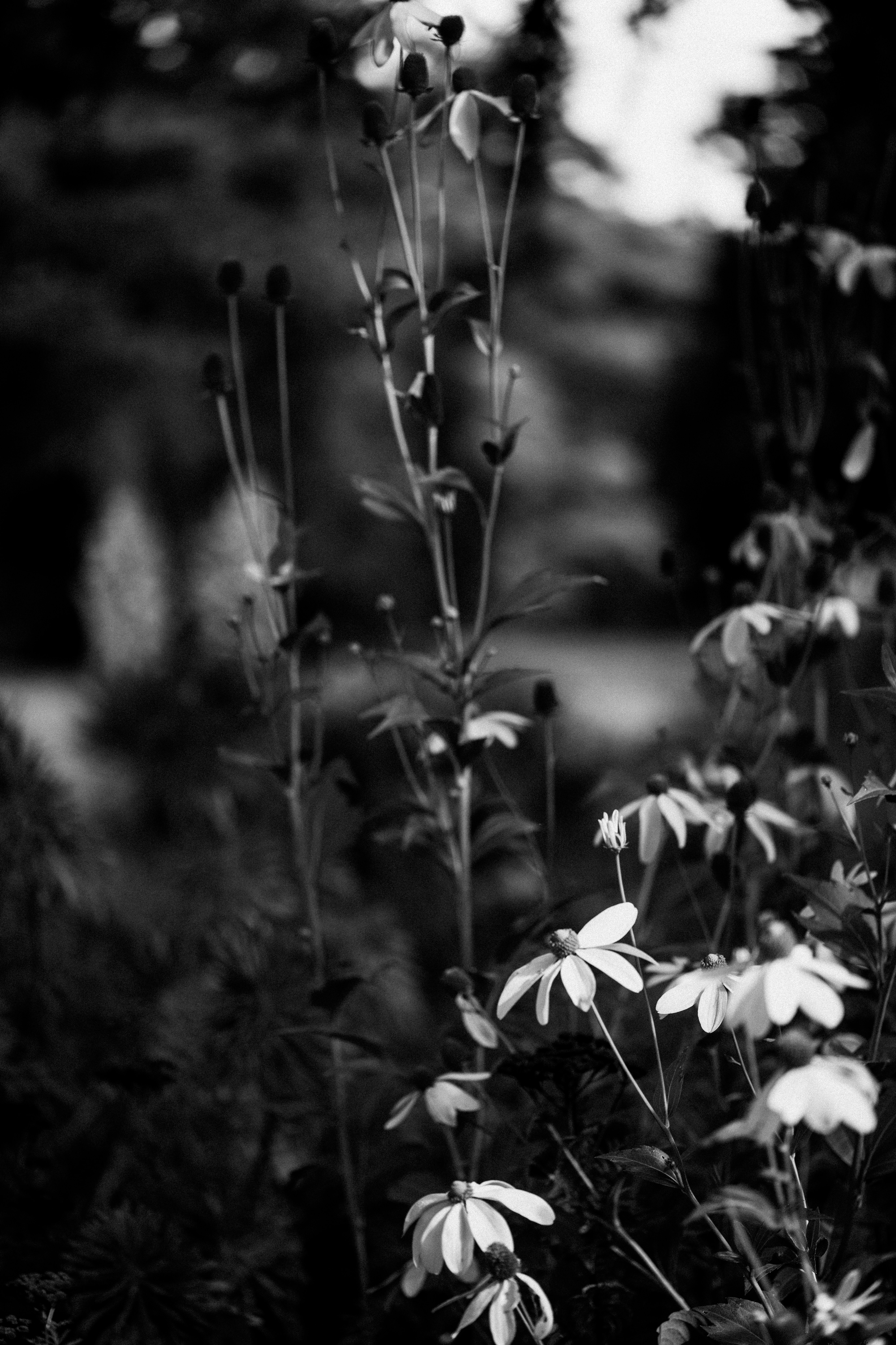 Photo by anniespratt