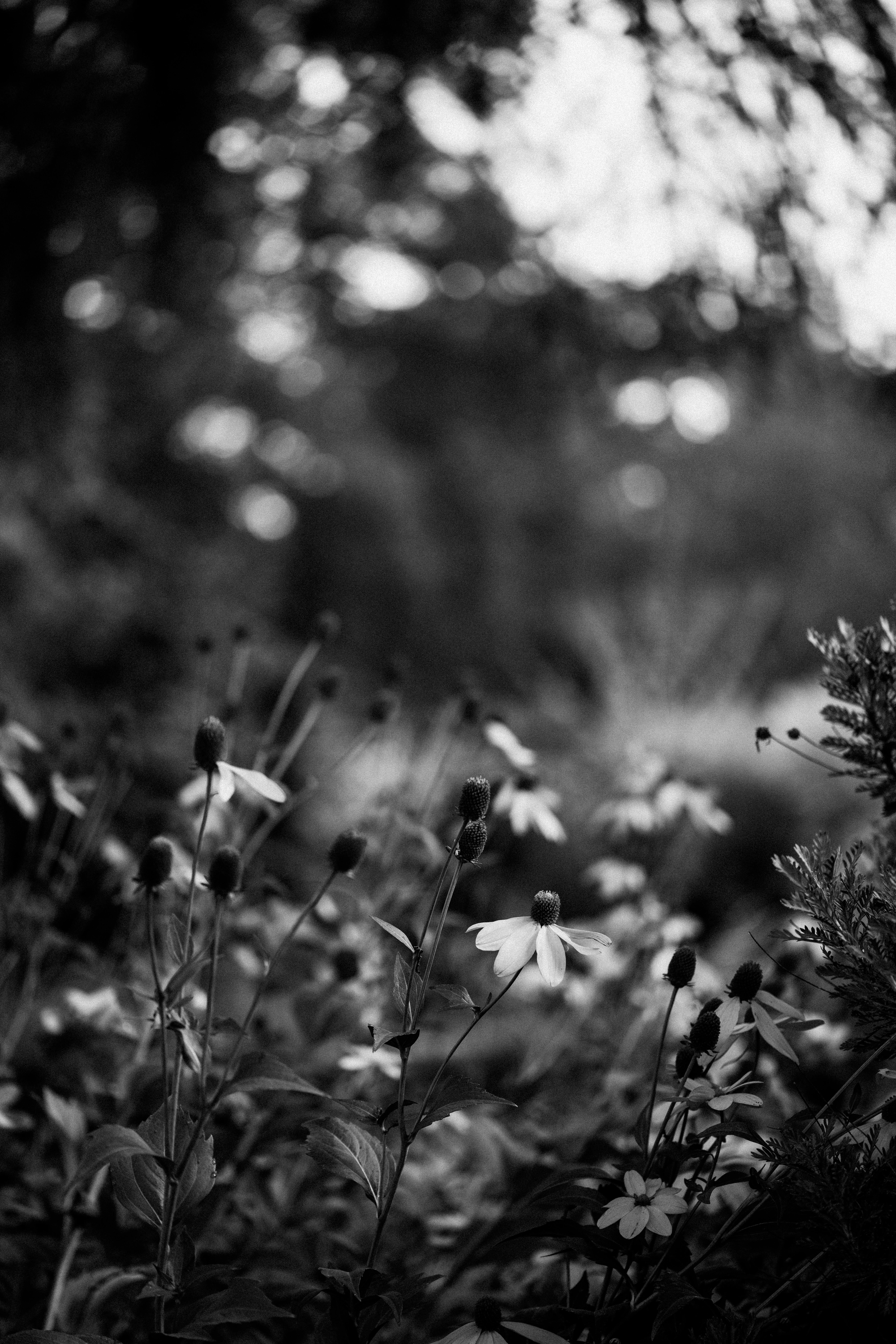 Photo by anniespratt