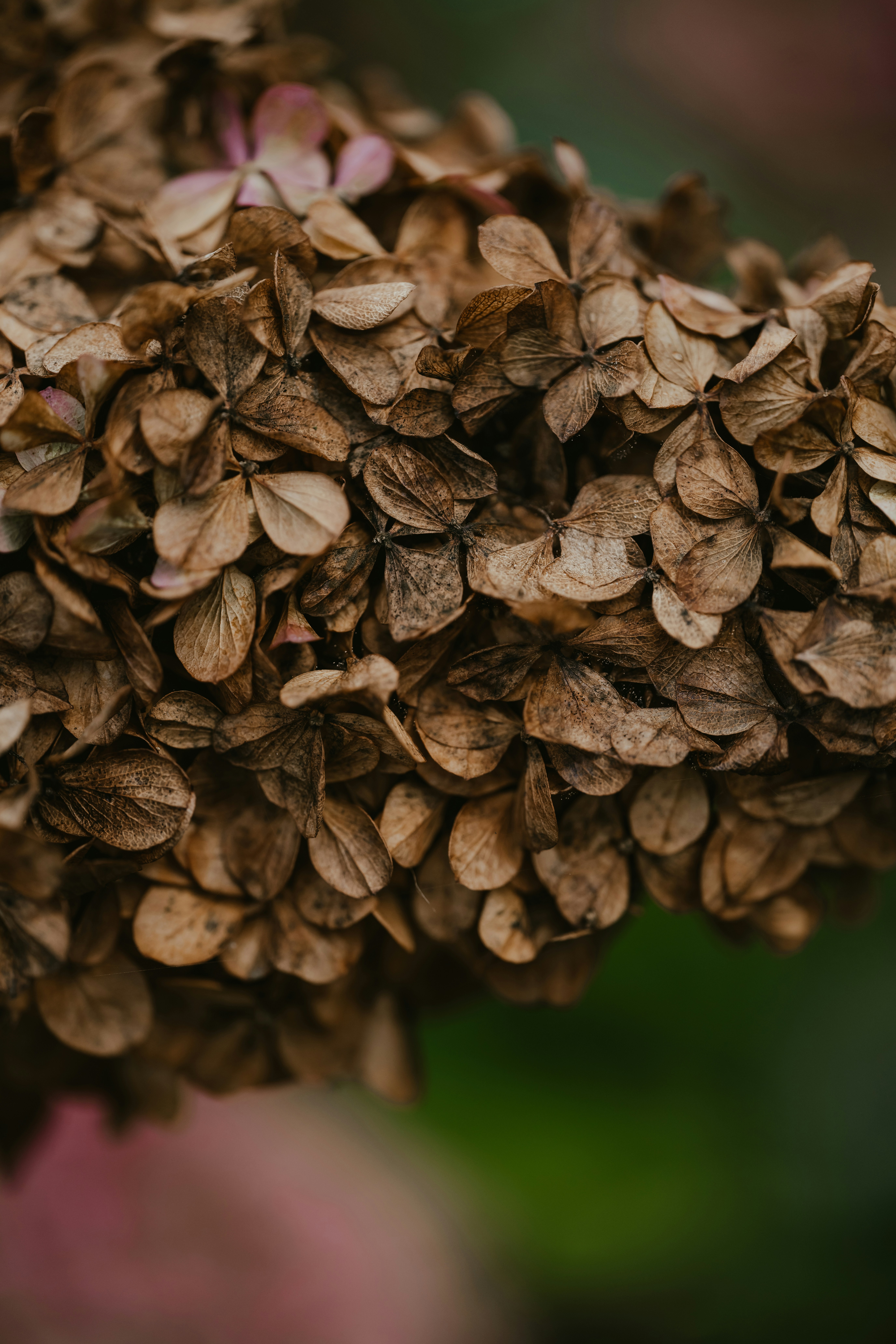 Photo by anniespratt