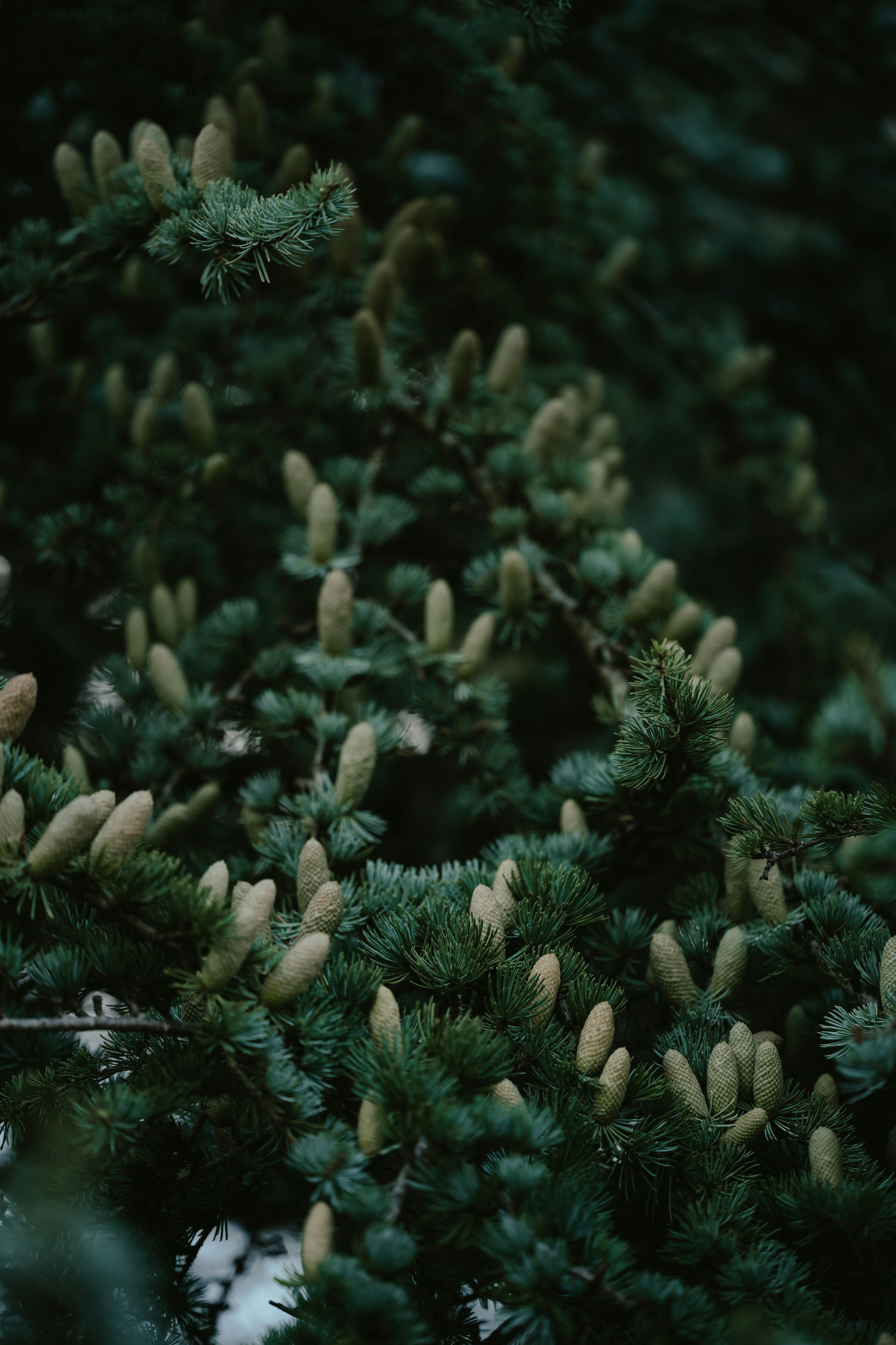 Photo by anniespratt