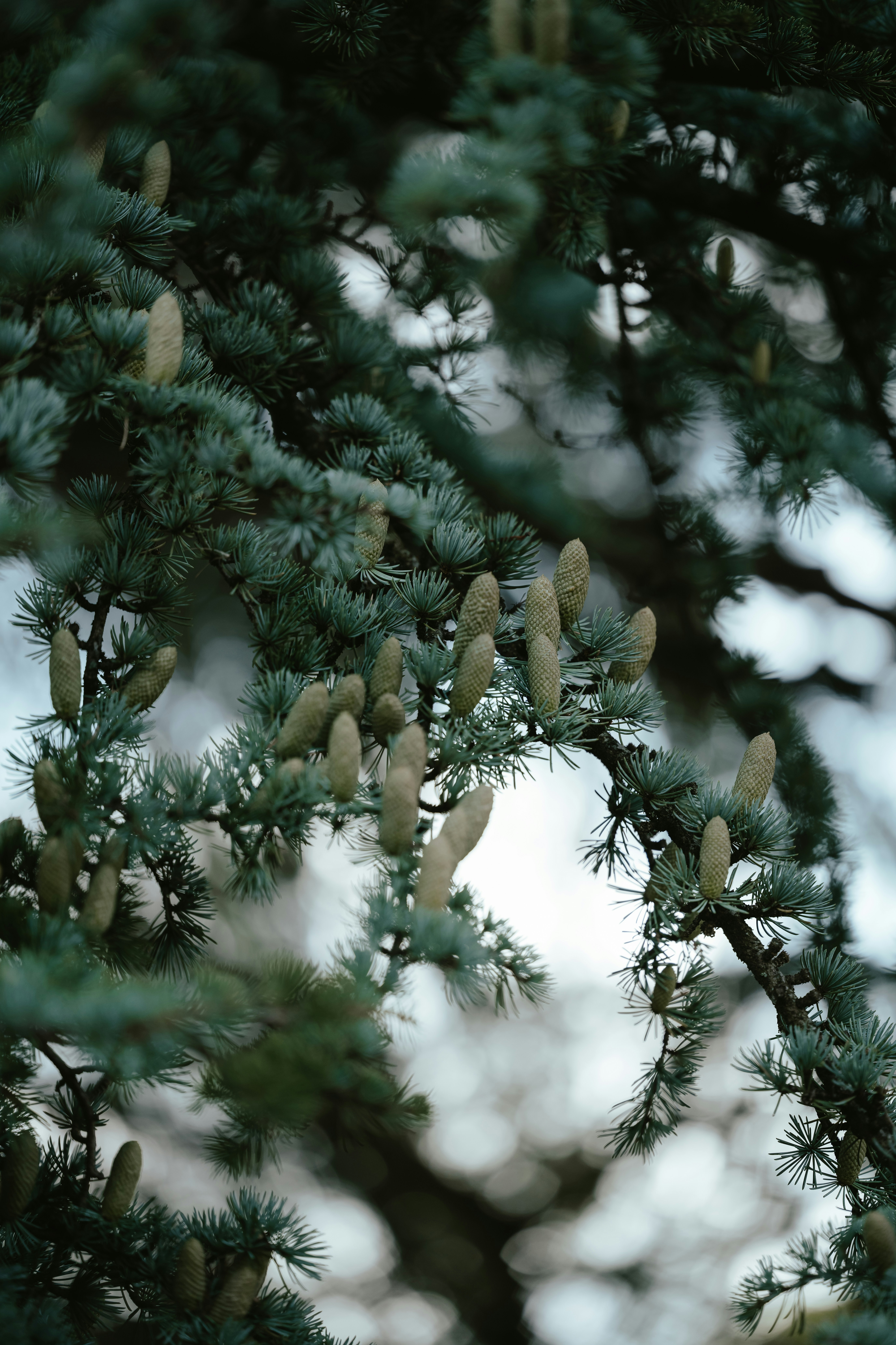 Photo by anniespratt