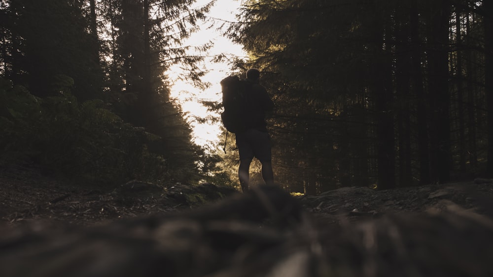 uma pessoa andando na floresta