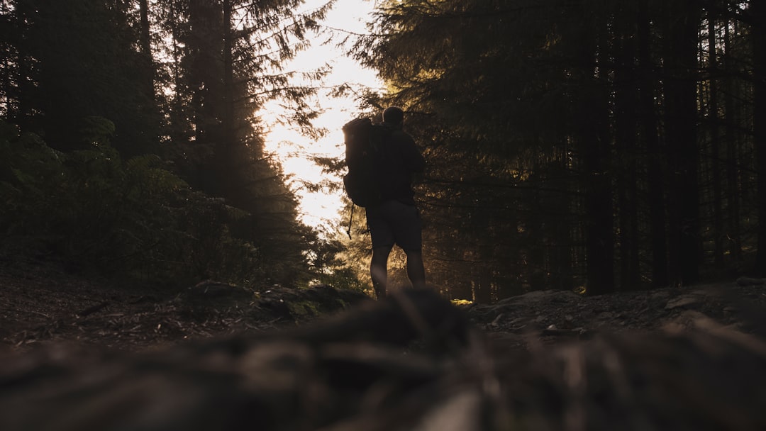 a person walking in the woods - Mold Remediation