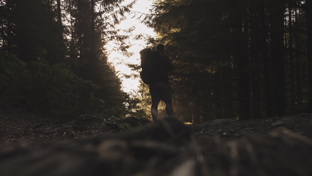 a person walking in the woods