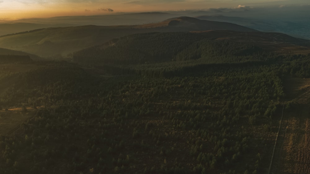 un paesaggio con colline e alberi