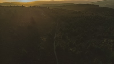 A vibrant landscape photo showcasing golden hour light over rolling hills and a winding path.