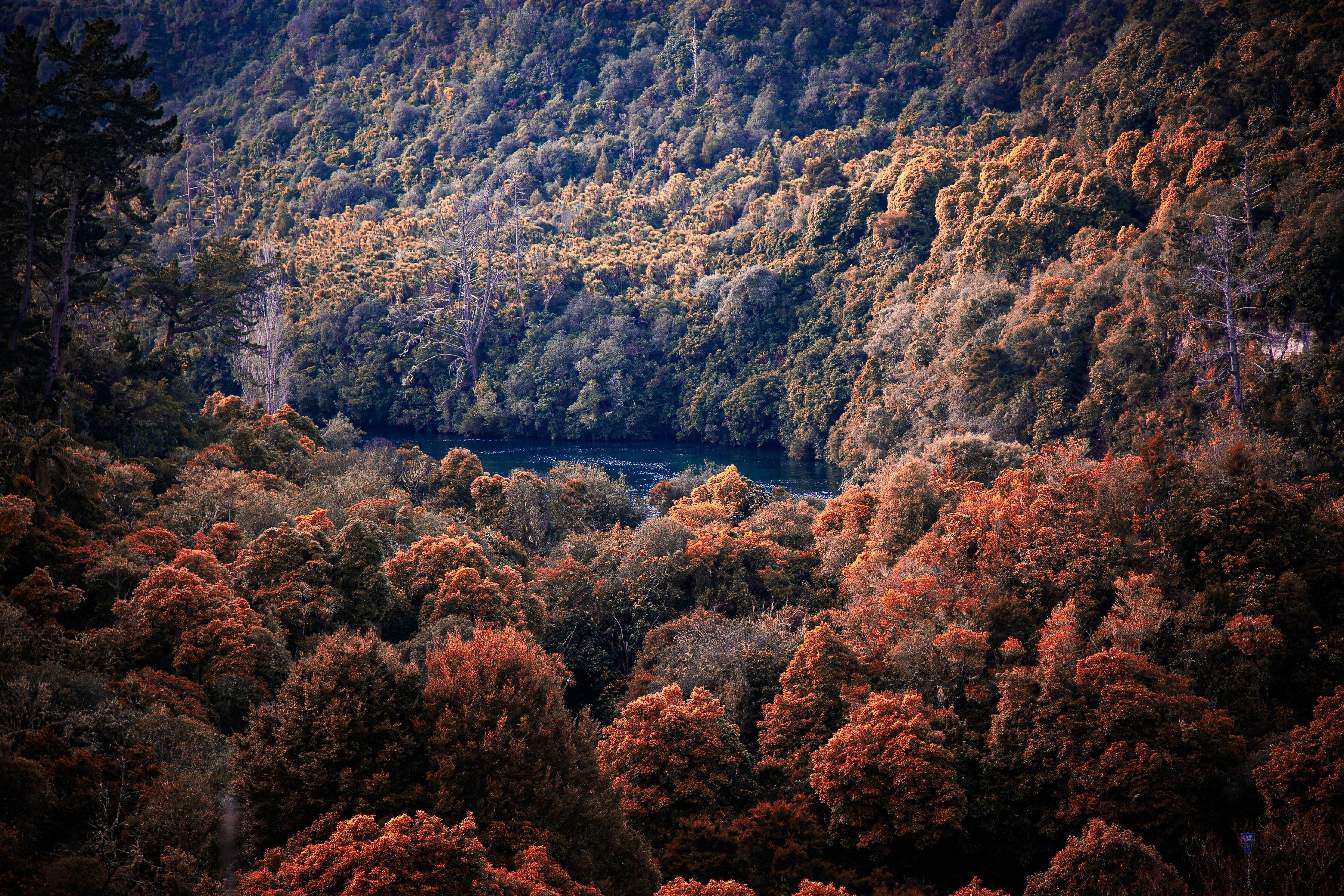 Photo by lovelyladyx