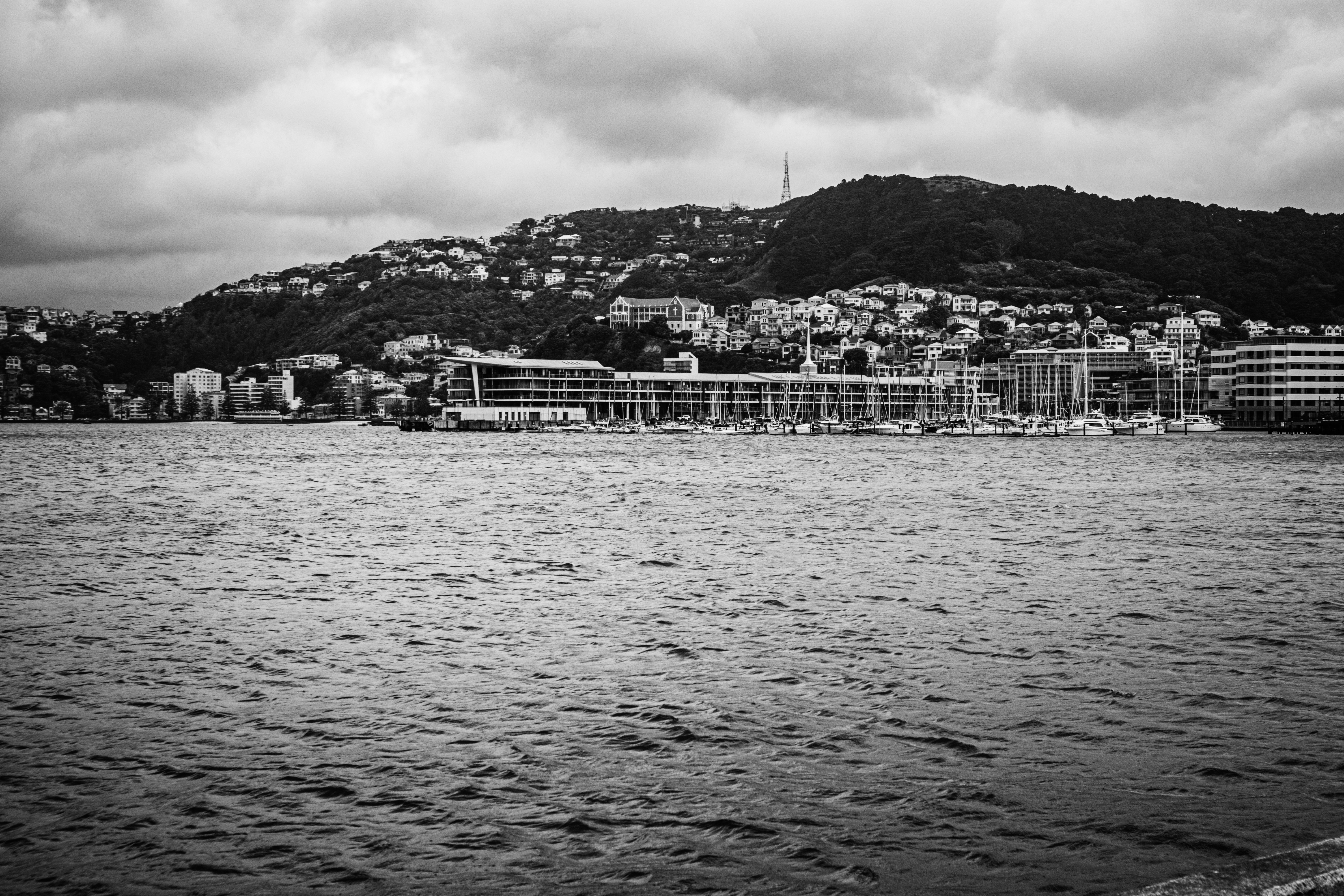 Photo by lovelyladyx