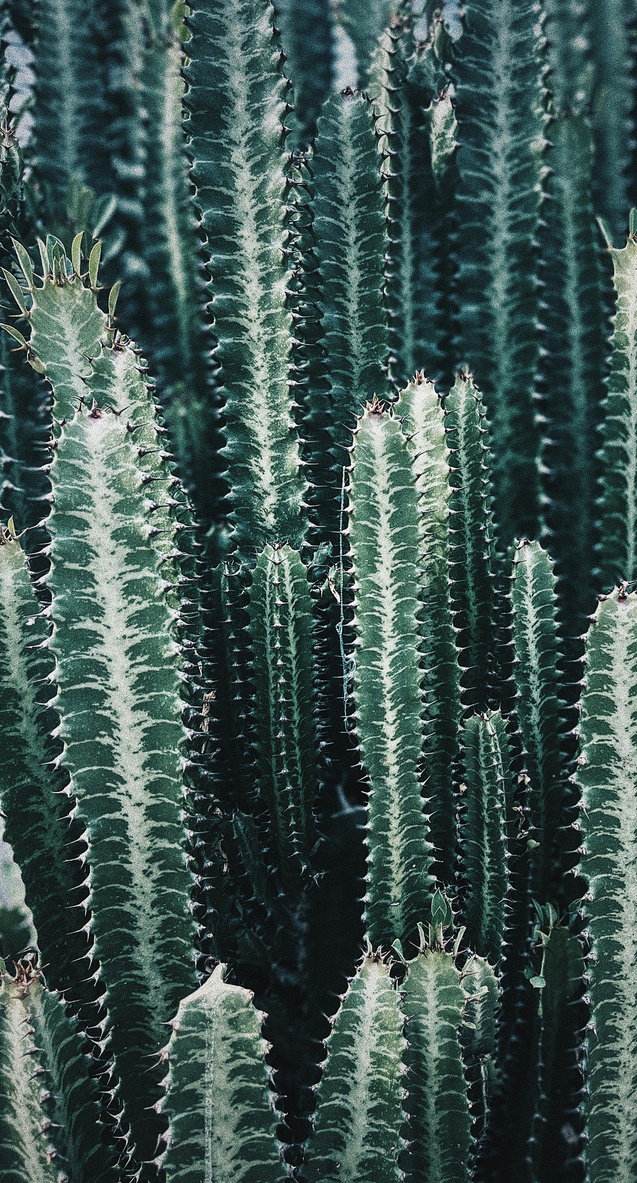 Photo by varshiniav___