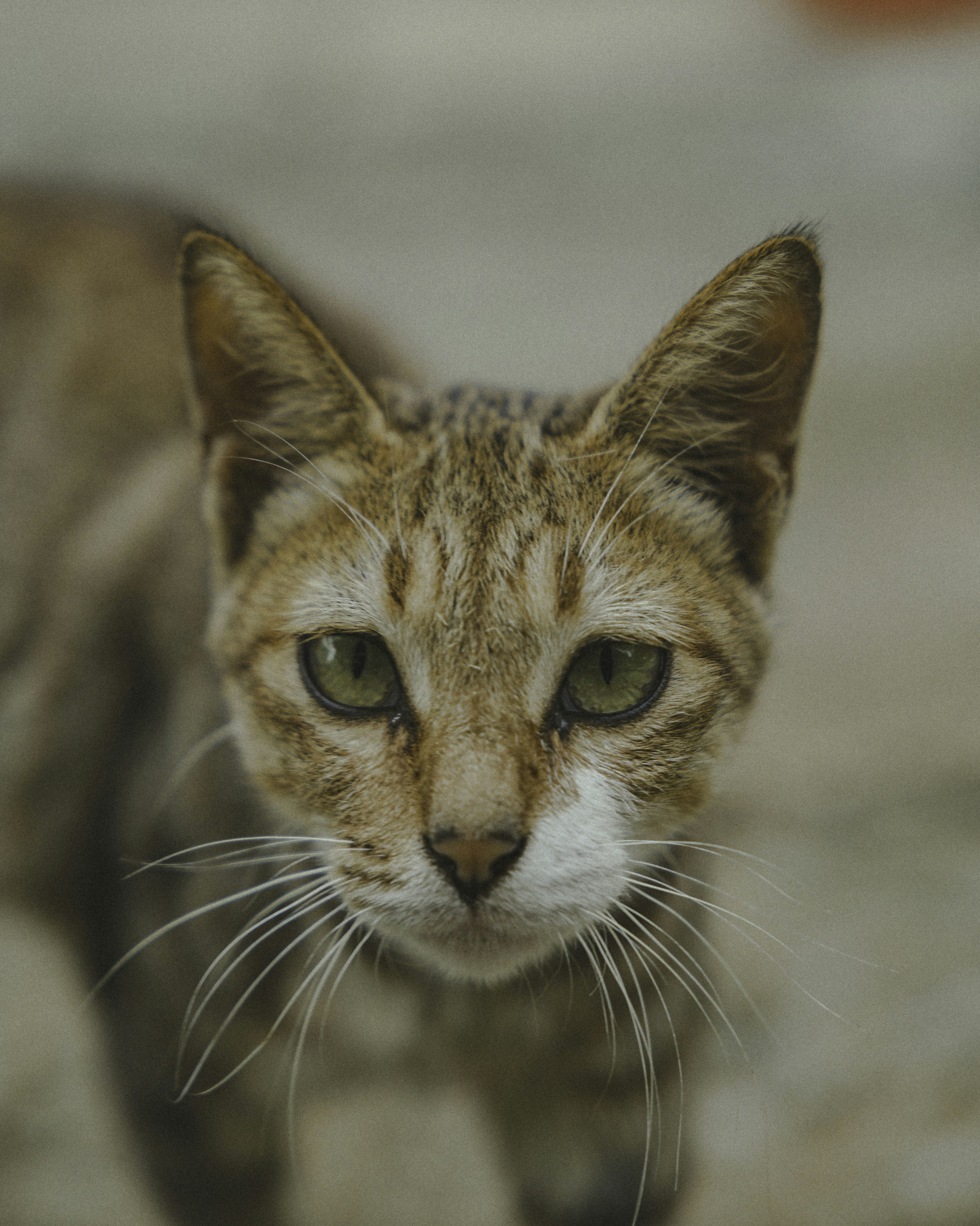 Photo by luminos_film