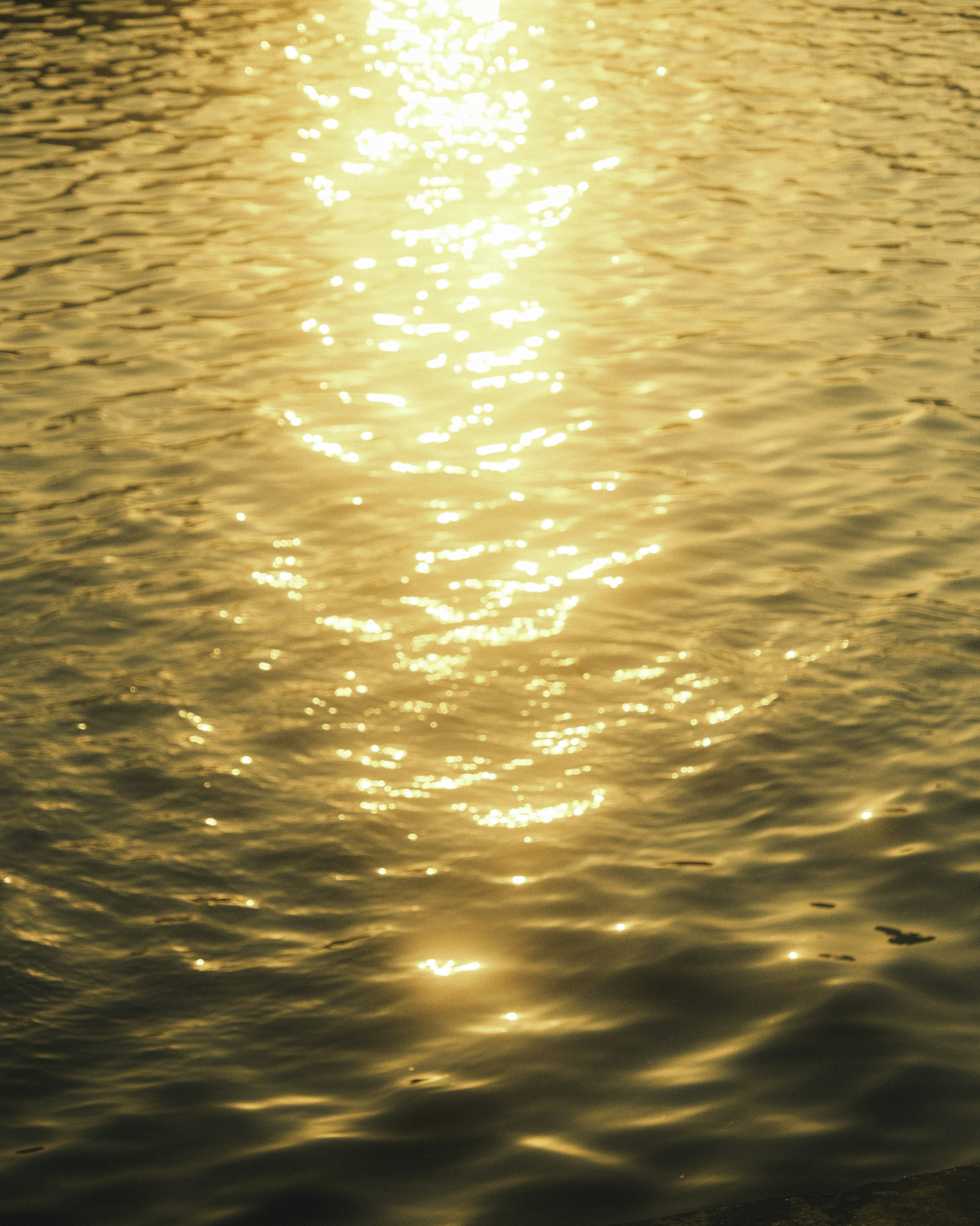 Photo by luminos_film