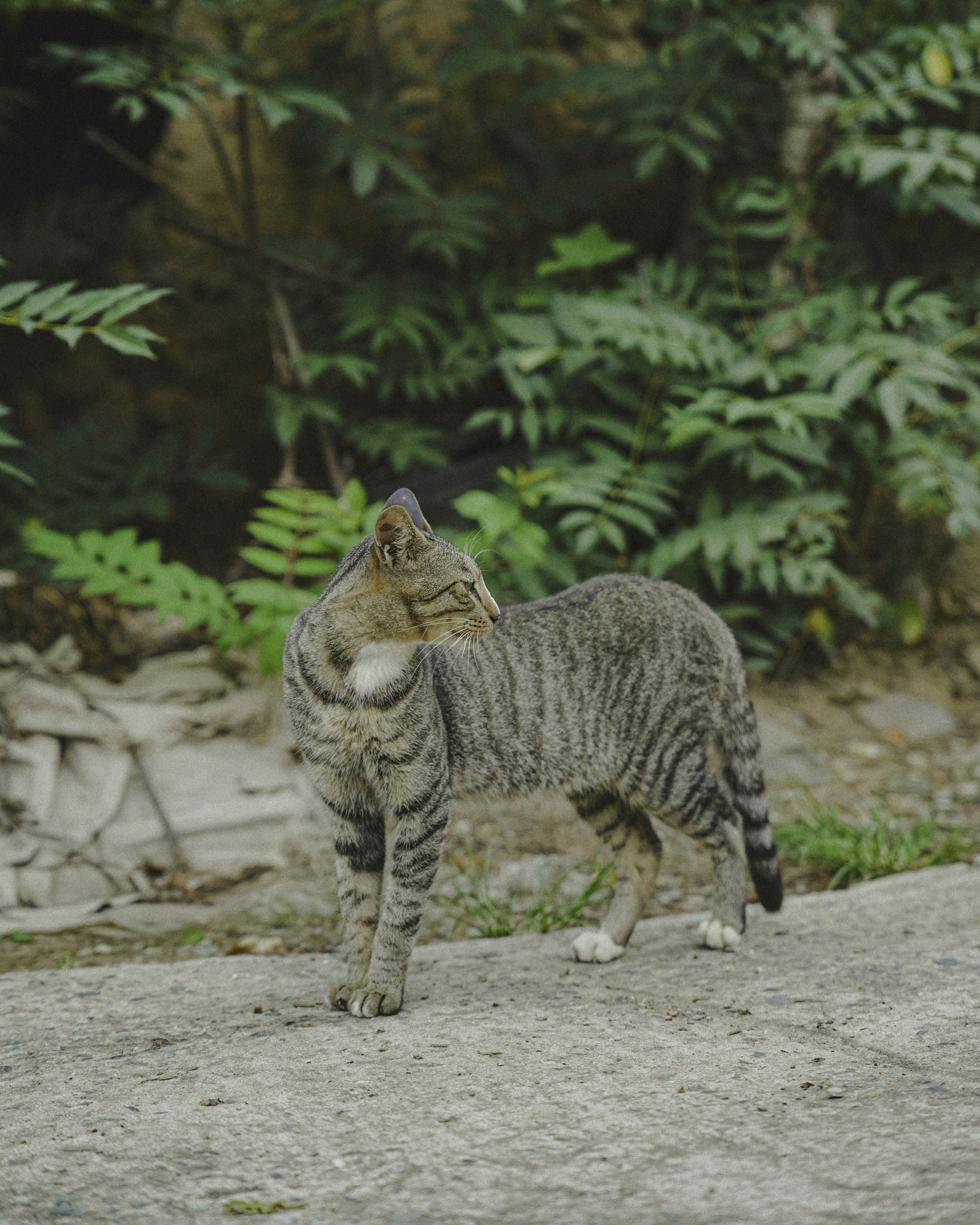 Photo by luminos_film