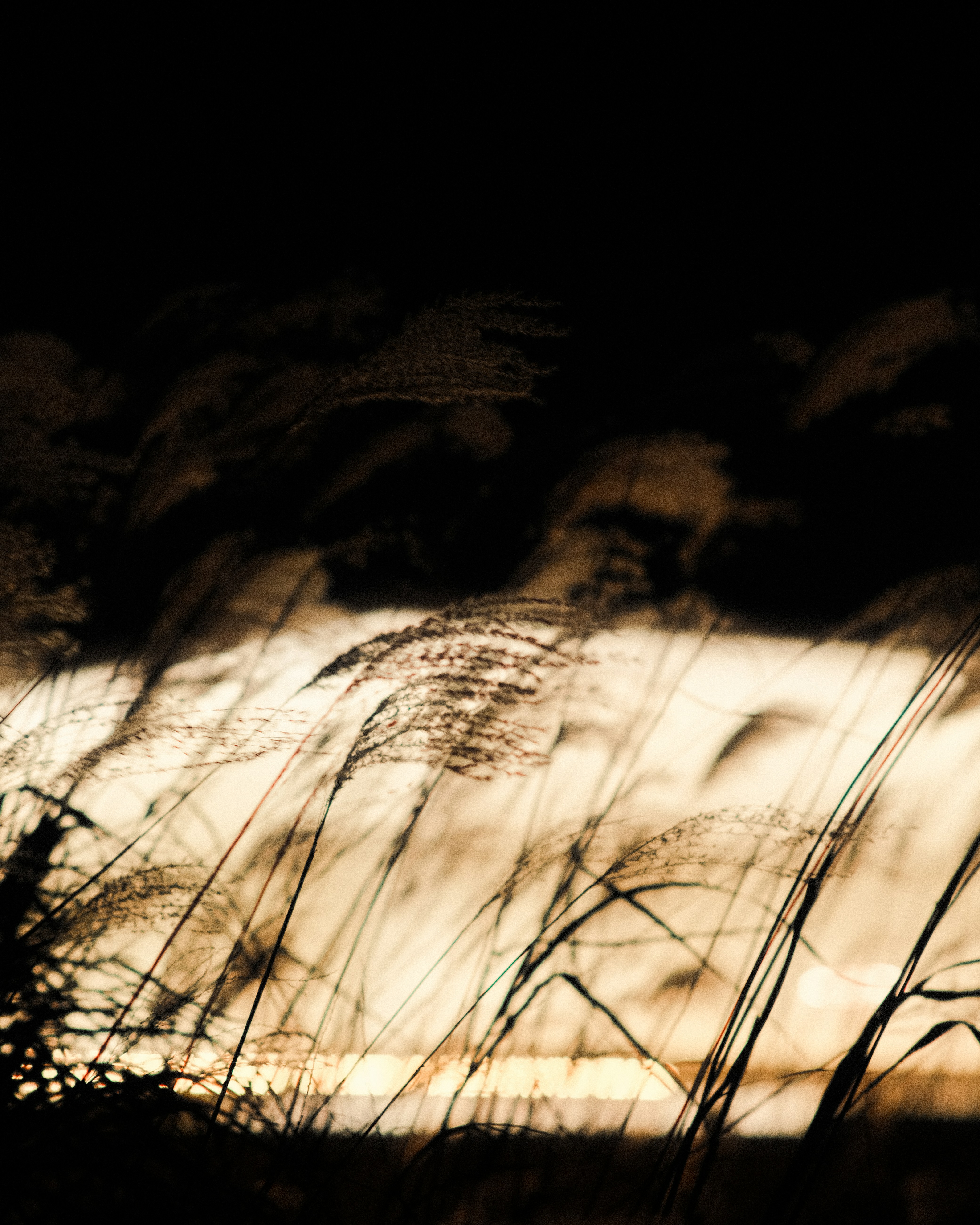 Photo by luminos_film