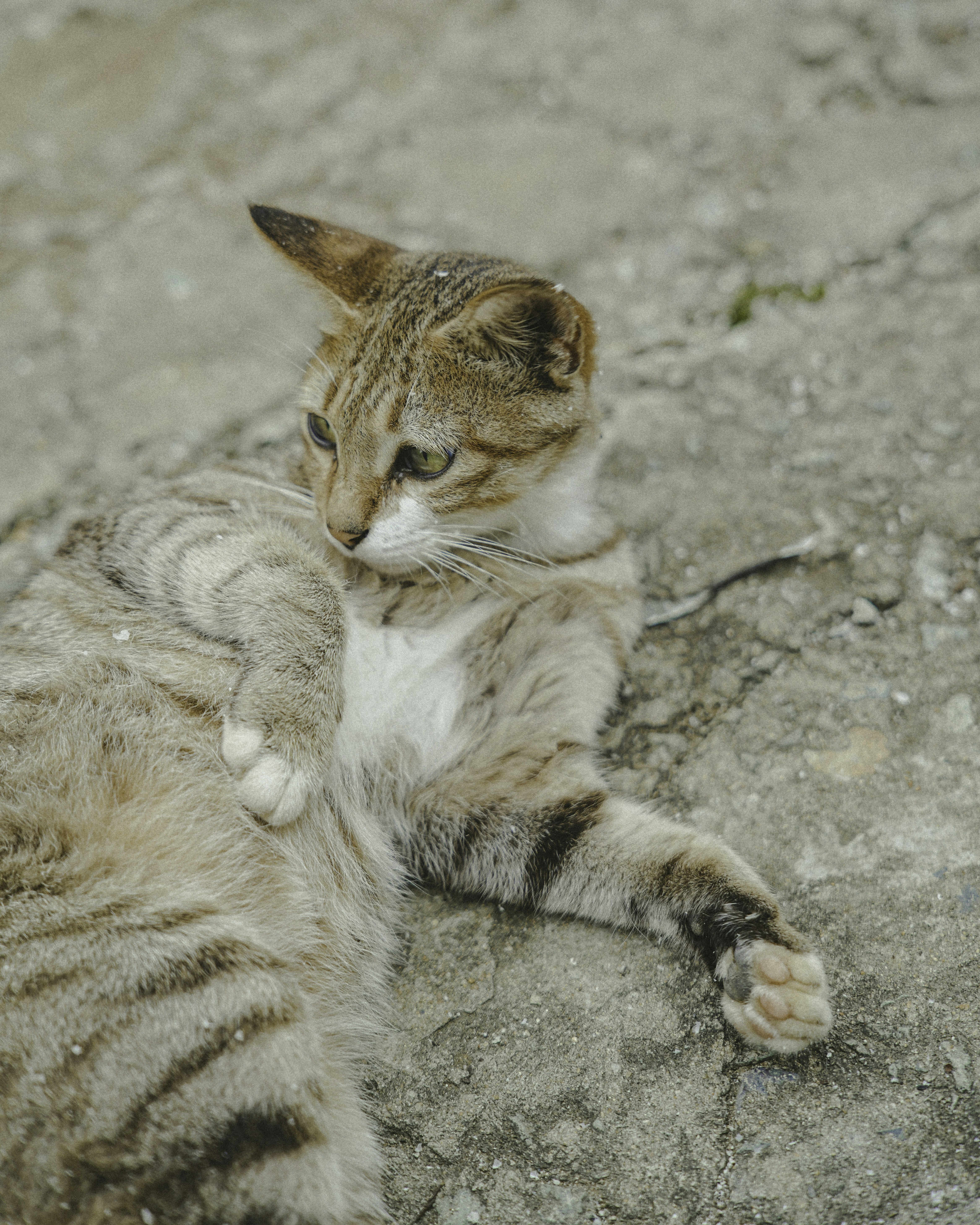 Photo by luminos_film