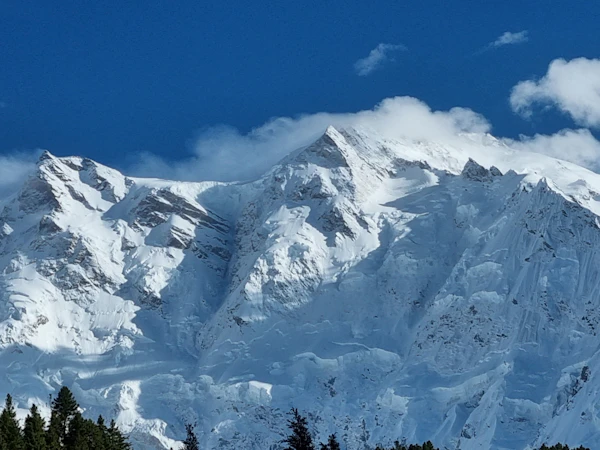 Raikot Bridge gateway — Nanga Parbat forest, Gilgit-Baltistan