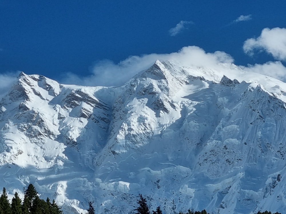 a snowy mountain with trees